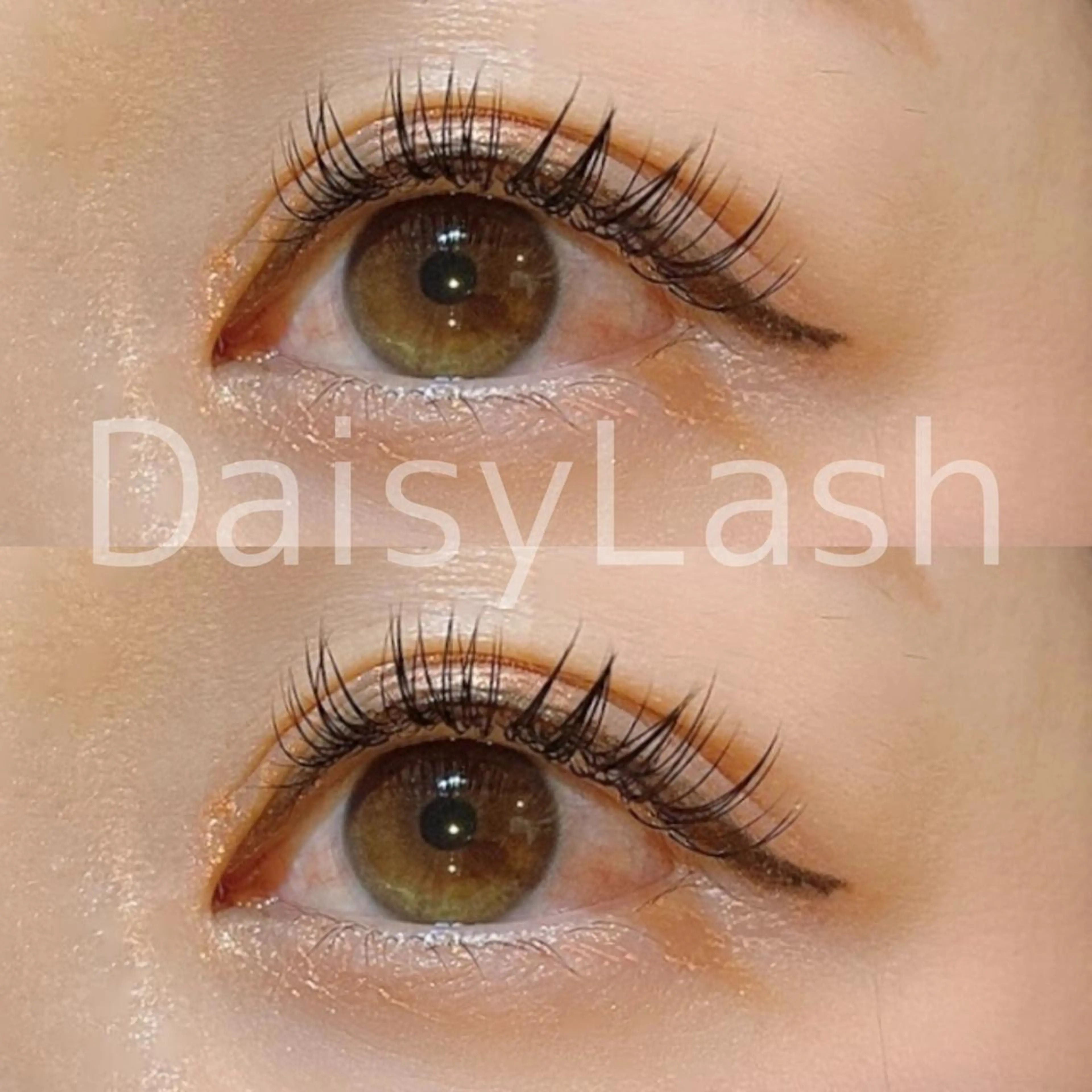 マツエク・マツパ DaisyLash 京橋店のマツエク・マツパデザイン