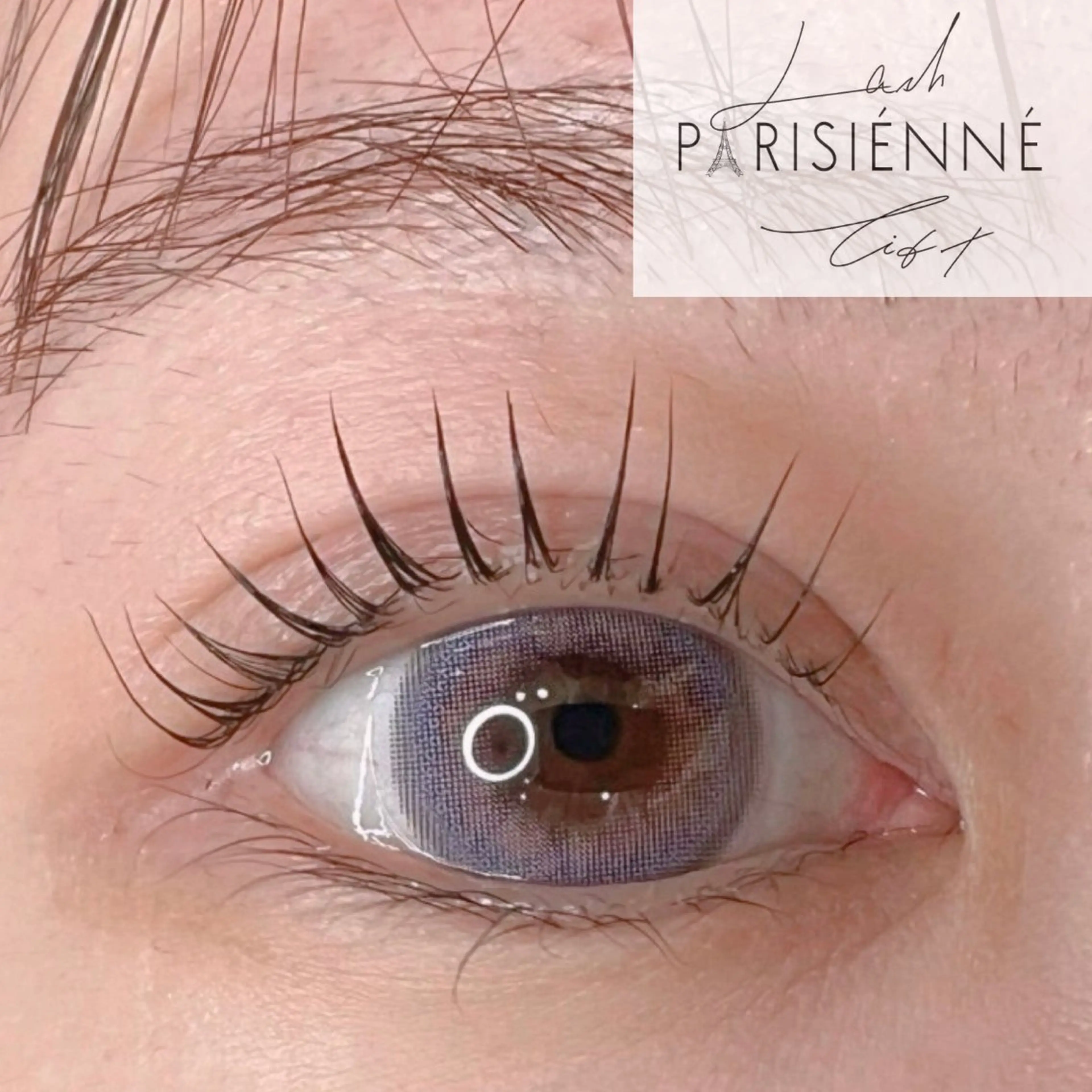 【急募‼️4/25（金）‼️】 上まつげパーマ＋眉癖改善セットメニュー無料！（通常14800円）高濃度トリートメント付きの写真