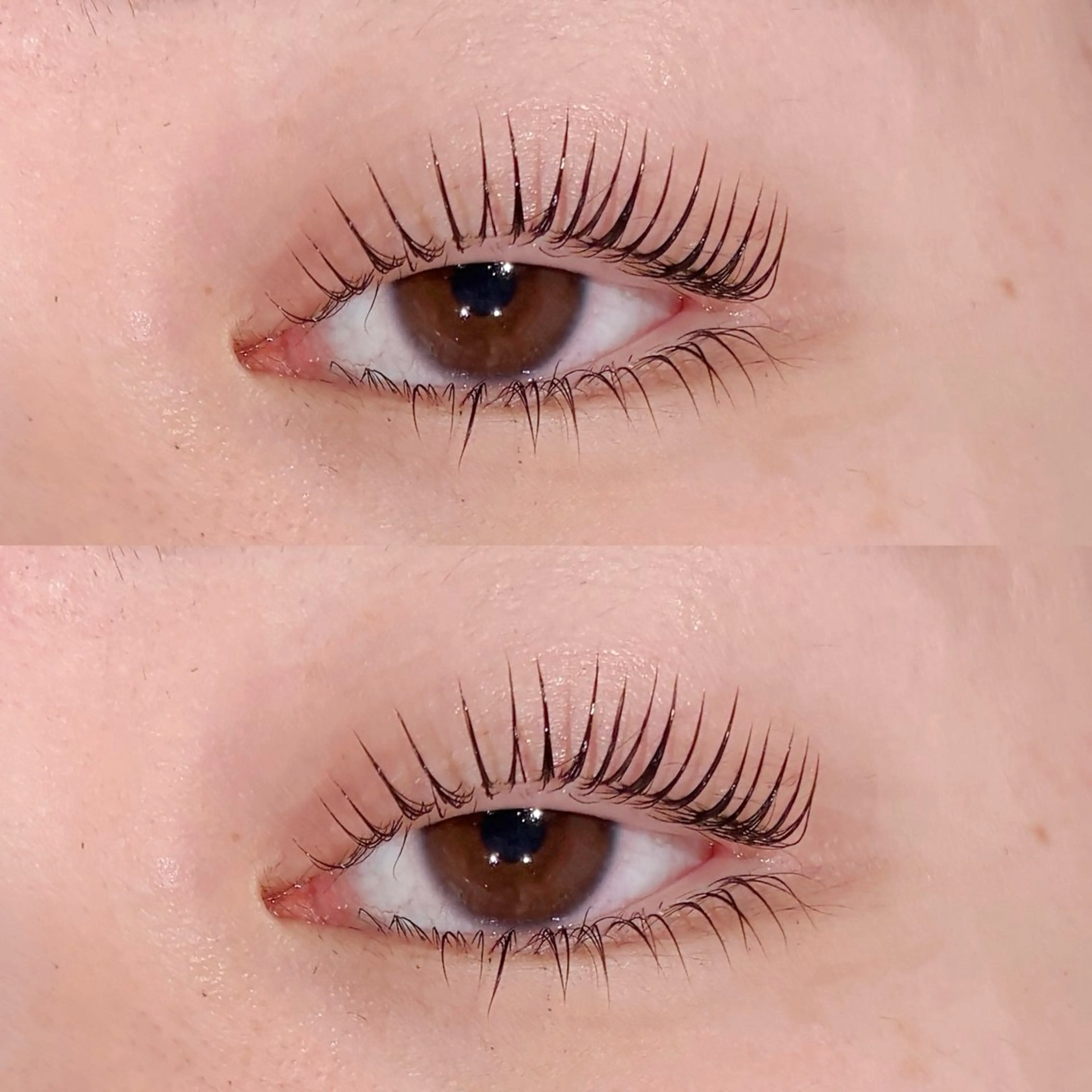 上下パーマ🦋‪𓂃 𓈒𓏸（パリジェンヌに変更+500円）お仕上げ美容液コーティング付き🫶の写真