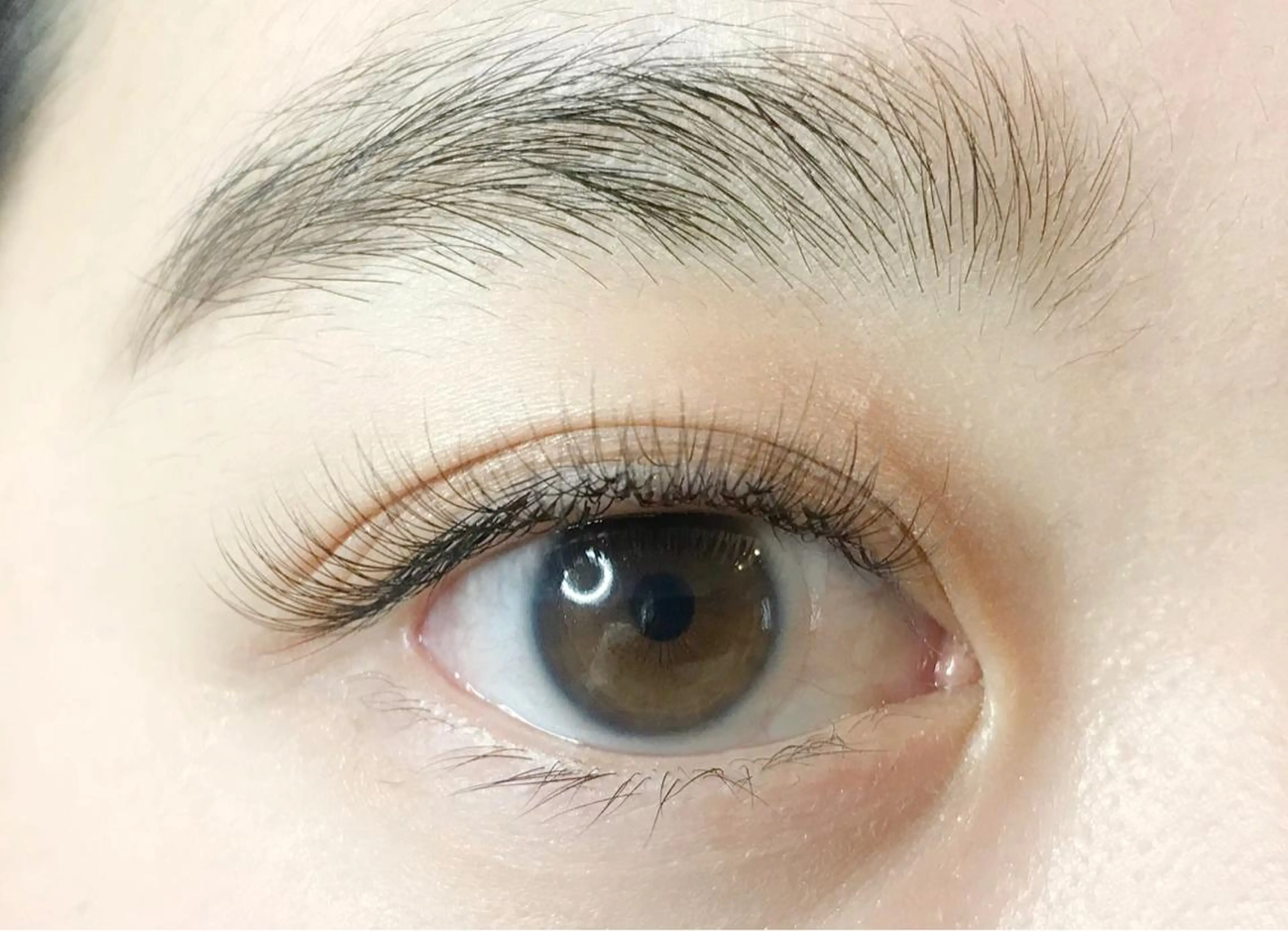 マツエク・マツパ ｍｉｐｐｙ 🪽のマツエク・マツパデザイン