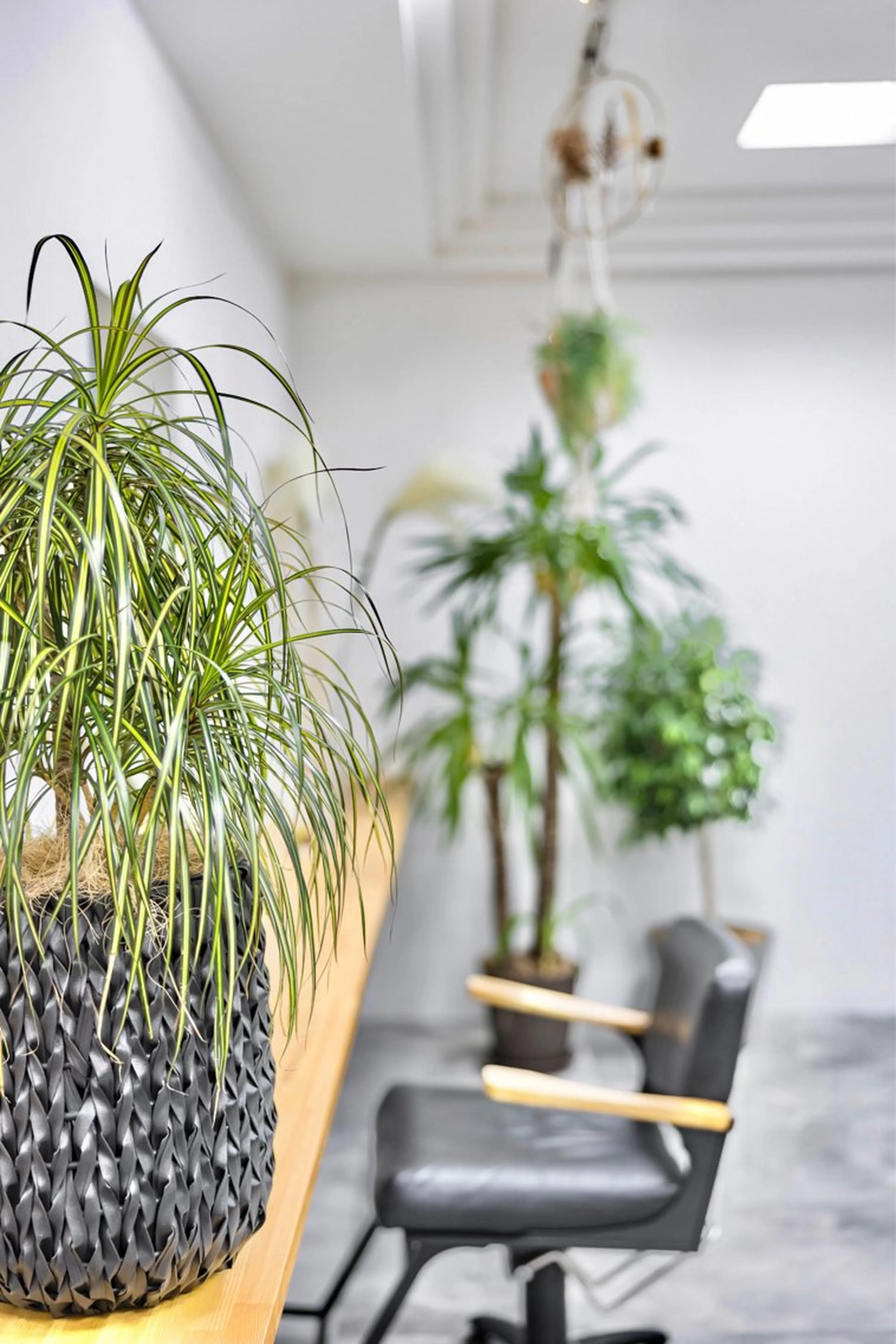 hoNua. 栄/透明感カラーのヘアスタイル