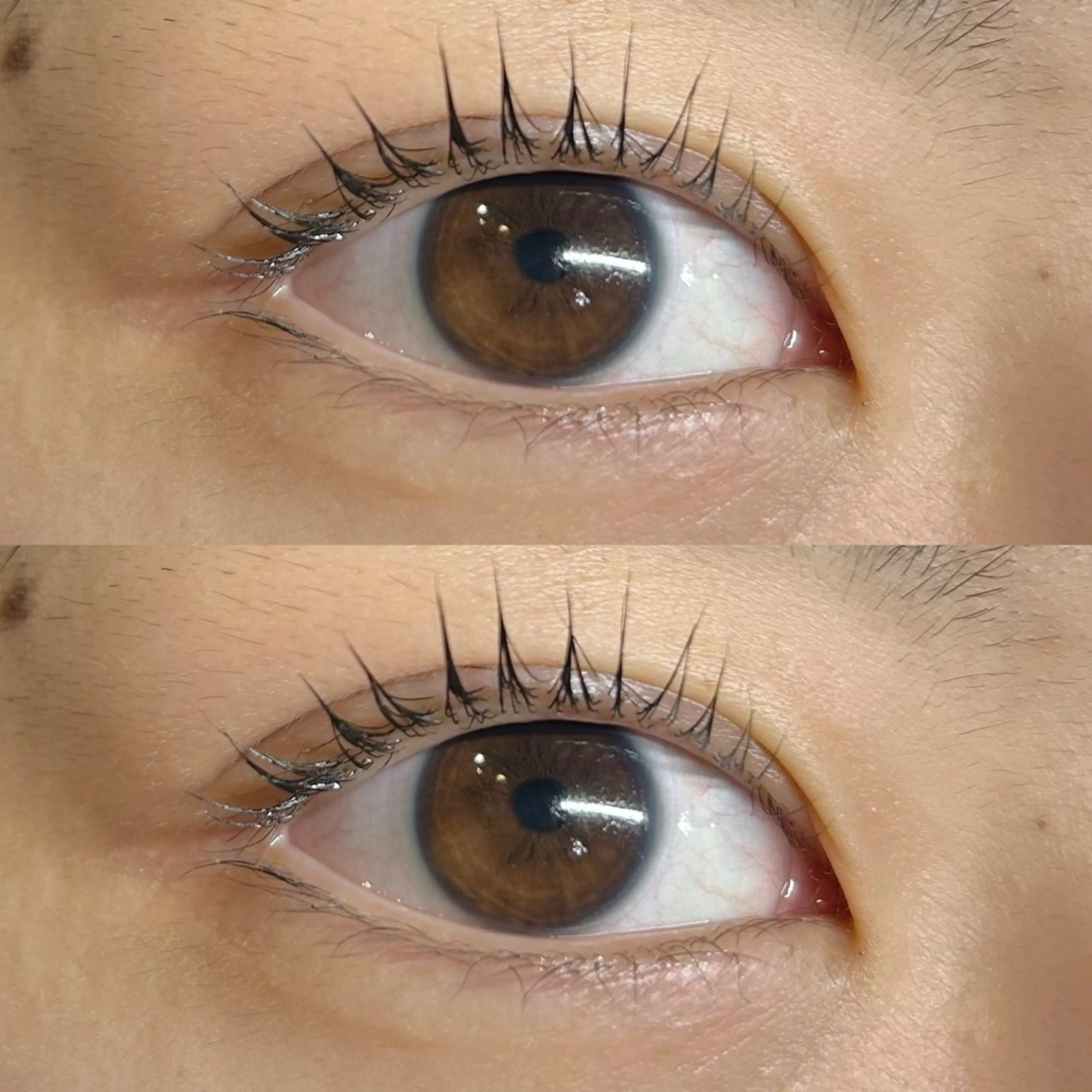 マツエク・マツパ マツパ Rise 🎀のマツエク・マツパデザイン