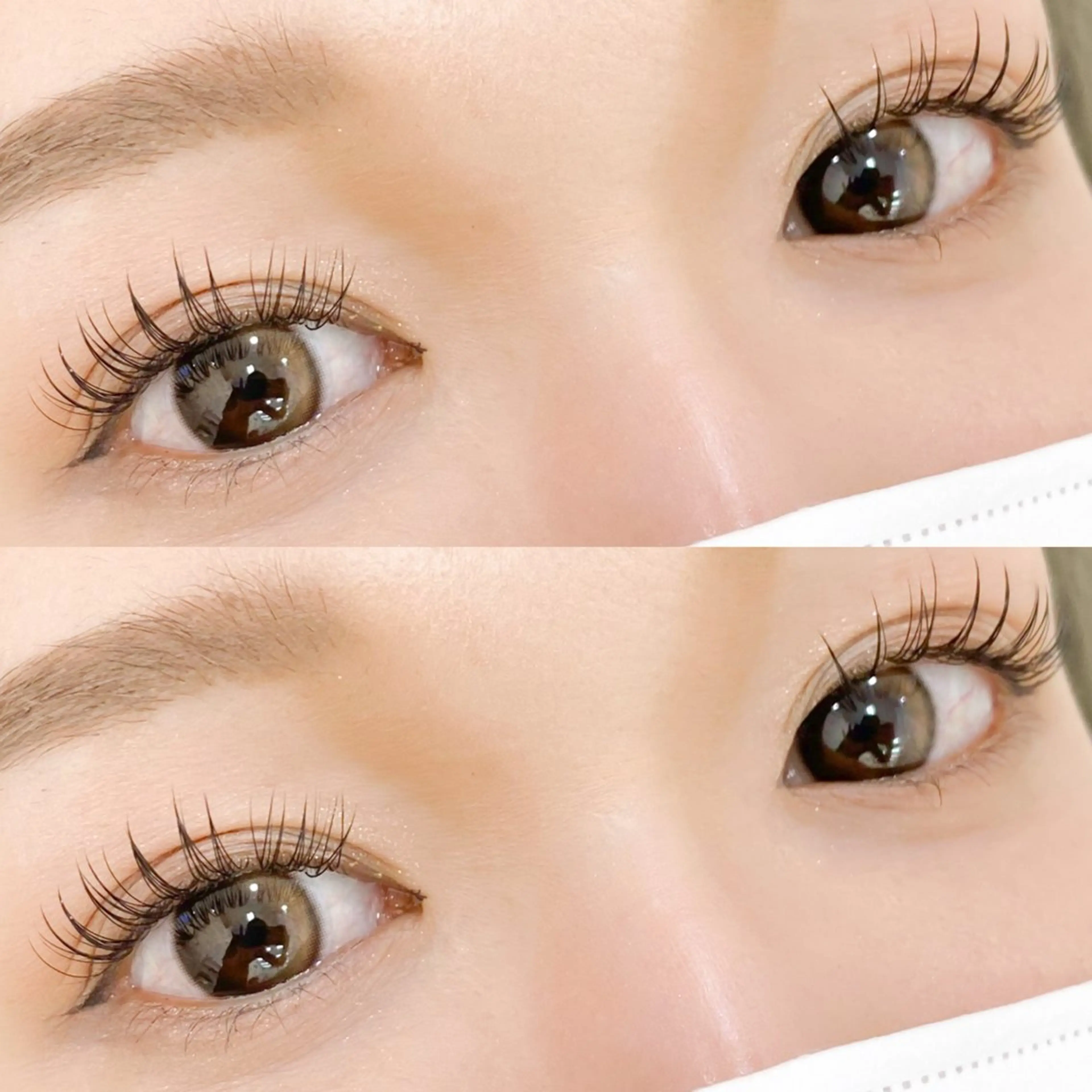 【1月31日迄🌟】フラットラッシュ100本の写真