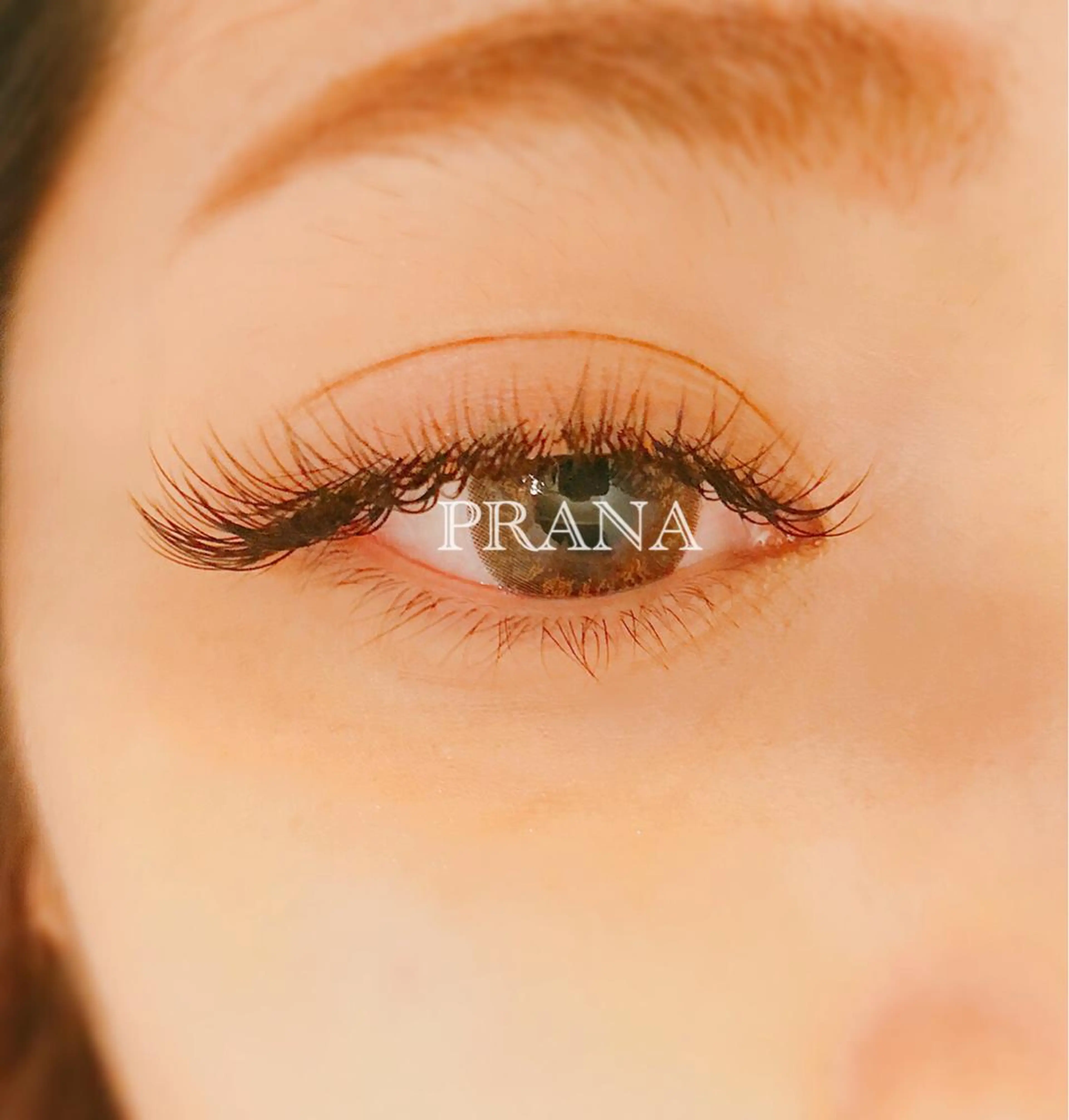 マツエク・マツパ 付け放題 マツエク PRANA所属・PRANA 錦糸町 徒歩3分のその他イメージ