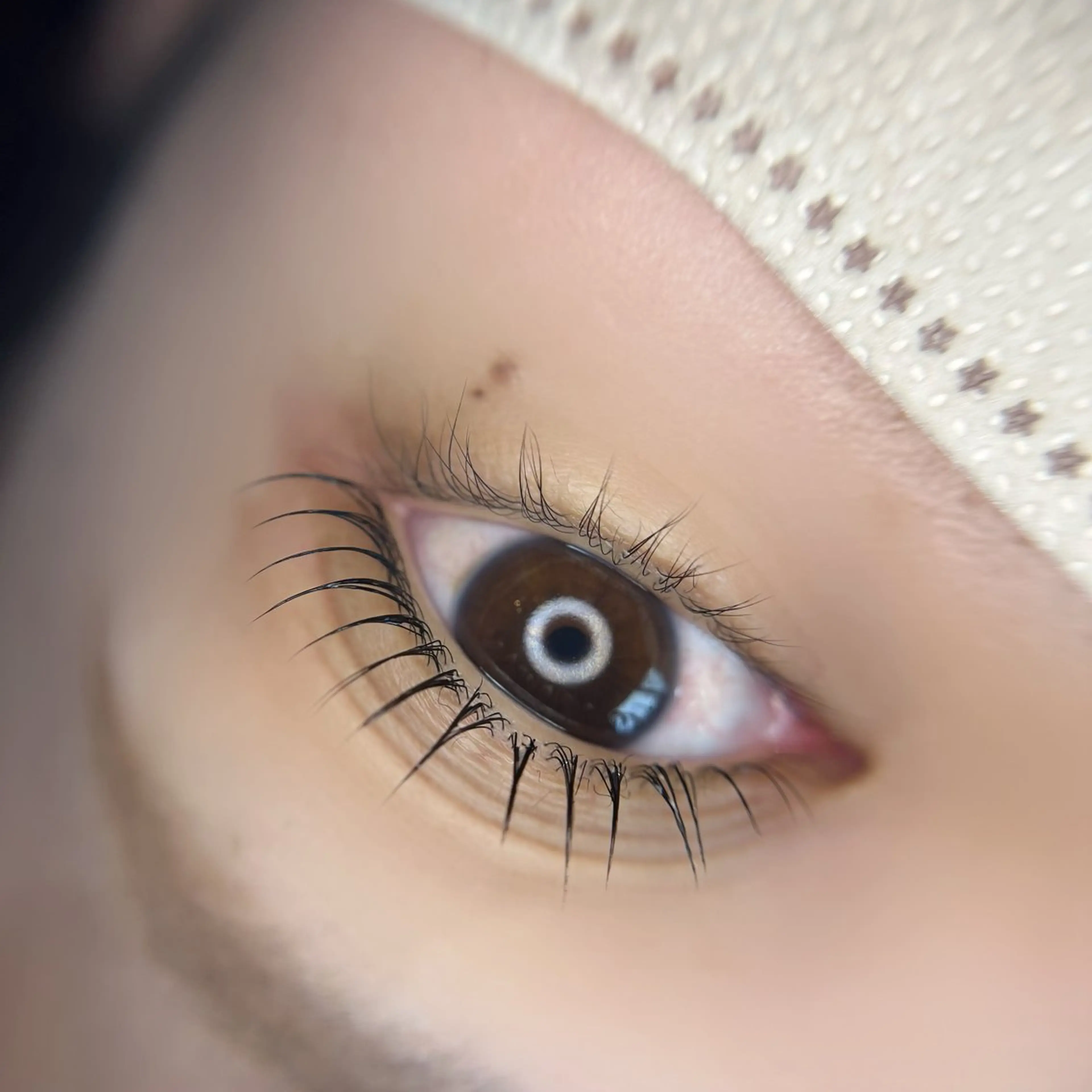 マツエク・マツパ マツパ Lau【ラウ】所属・Lau【ラウ】 ⁂NaNaのマツエク・マツパデザイン