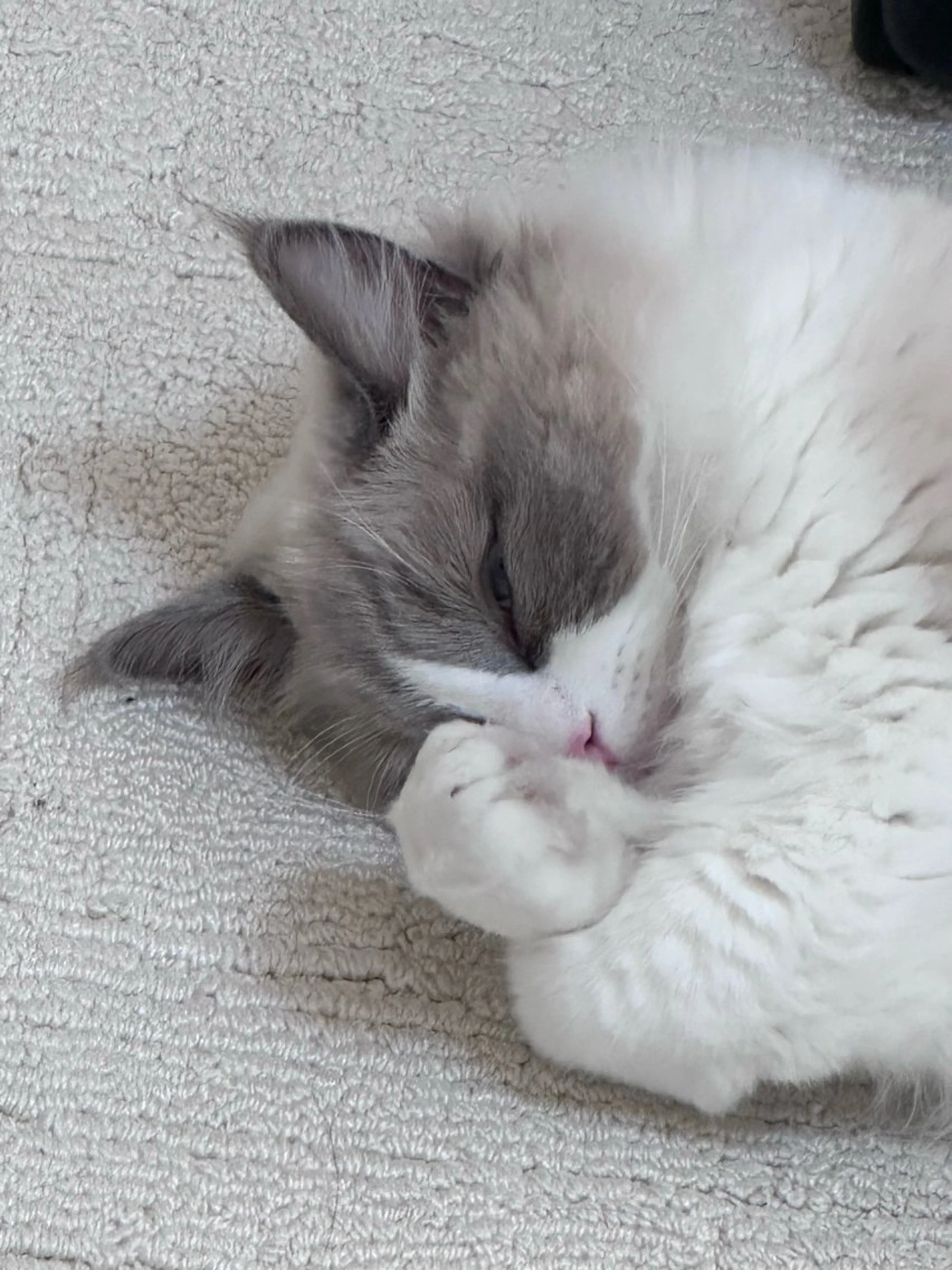 オフのみの写真