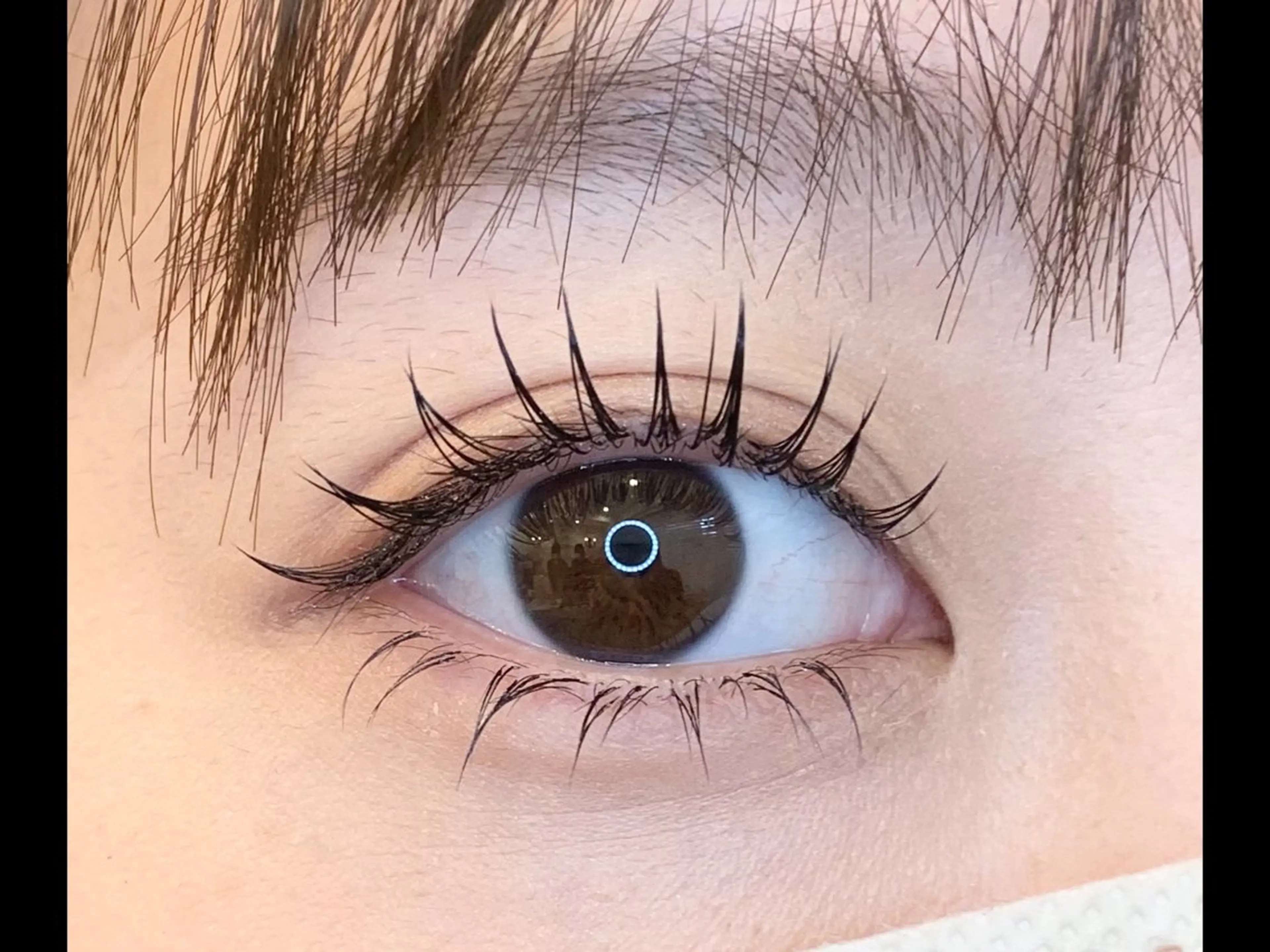 アップワードラッシュ🩶フラットラッシュ140本まで🩶オフ無し🩶の写真