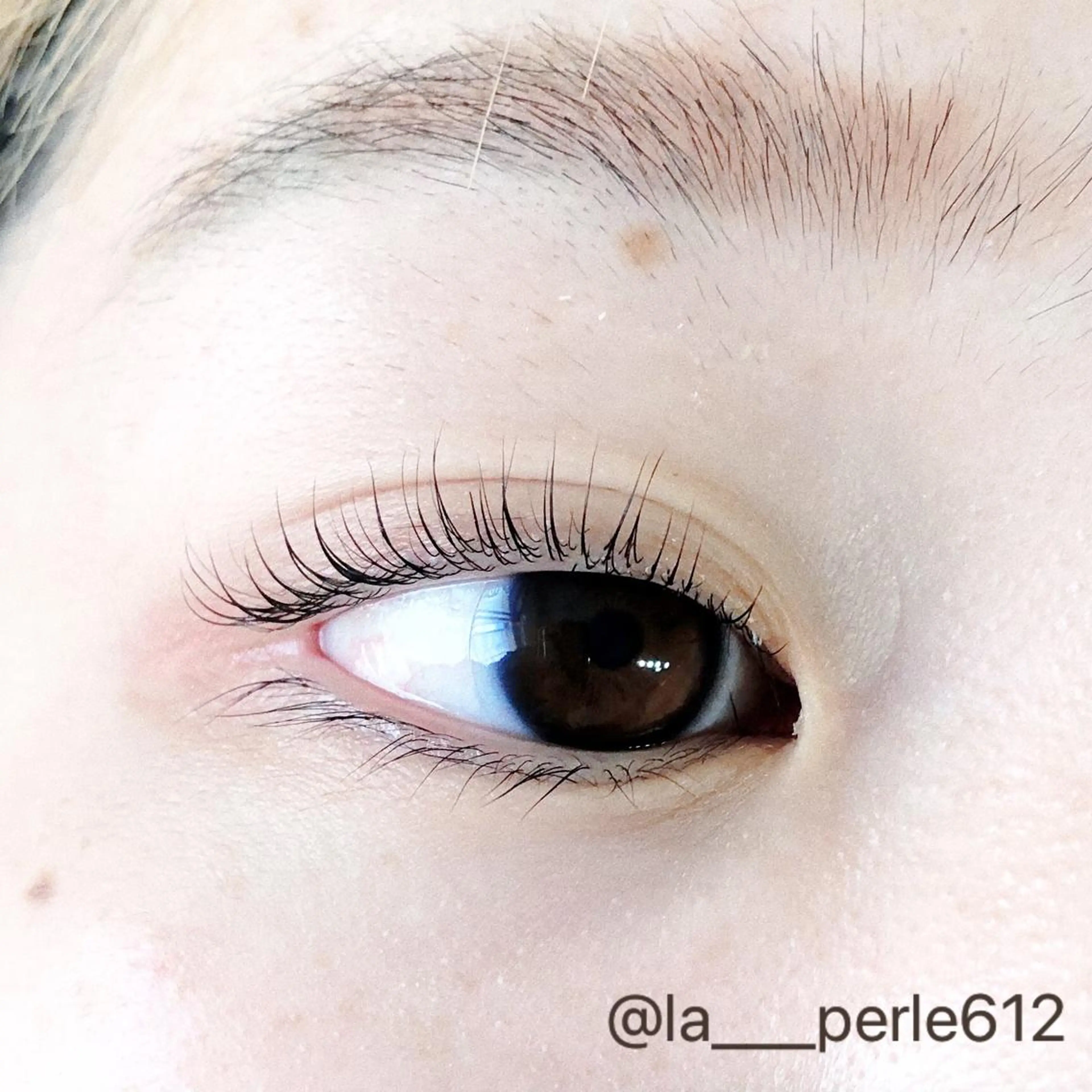 マツエク・マツパ パリジェンヌラッシュリフト LA PERLE所属・LA PERLEのマツエク・マツパデザイン