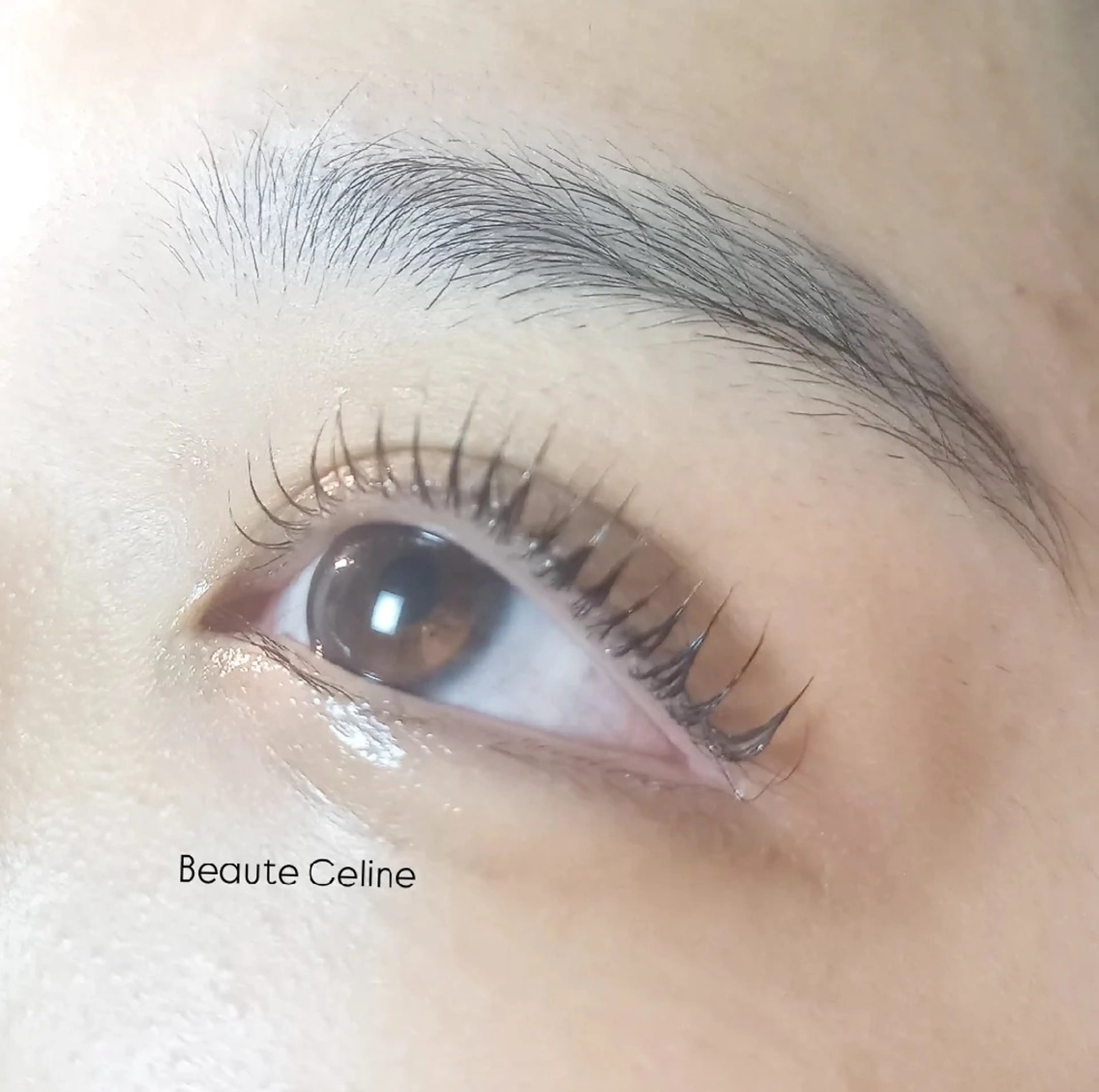 マツエク・マツパ マツパ beaute.celine所属・8時～✨beaute Celine🌛🌹のマツエク・マツパデザイン