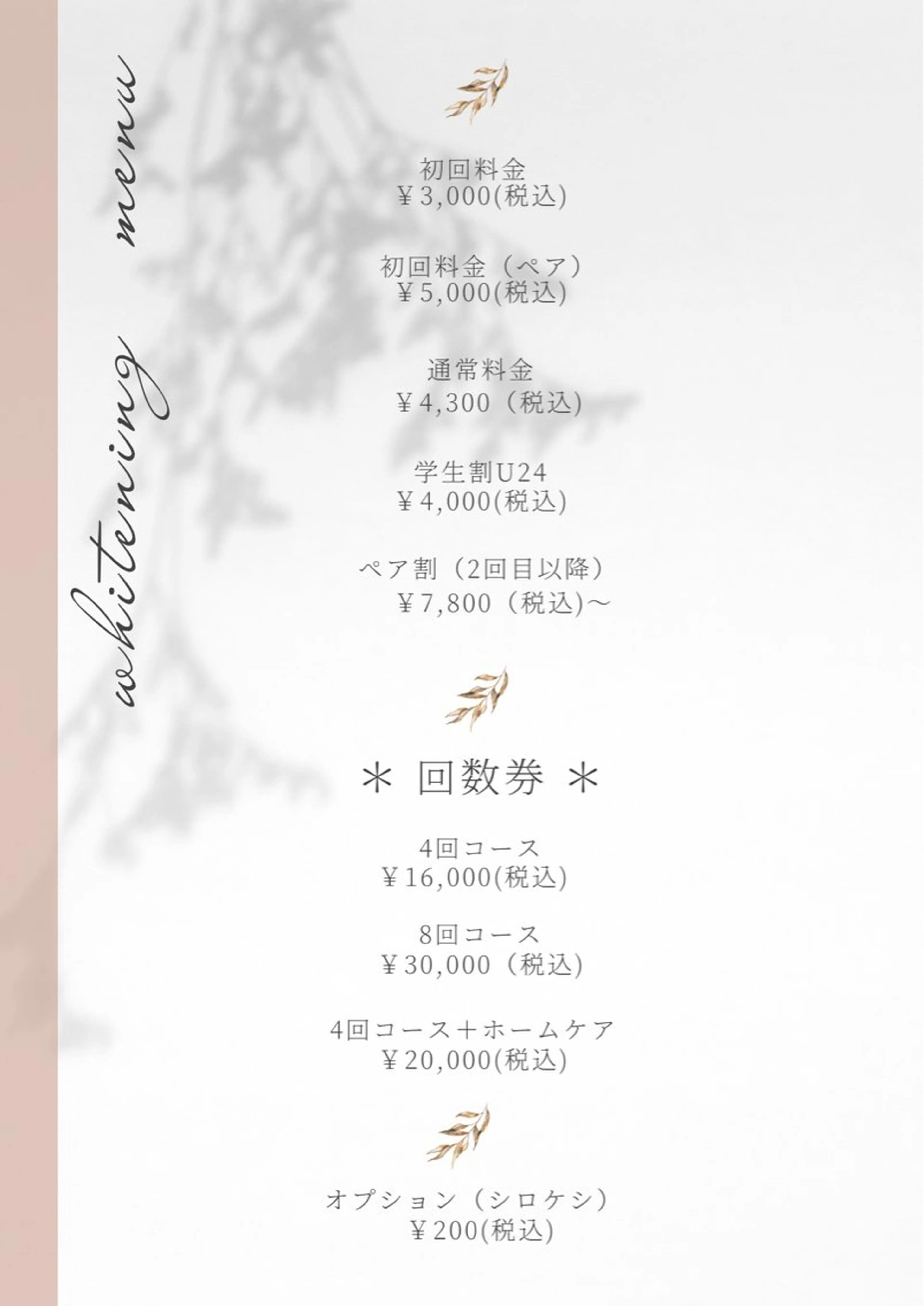 セルフホワイトニング 『Luster』のその他イメージ