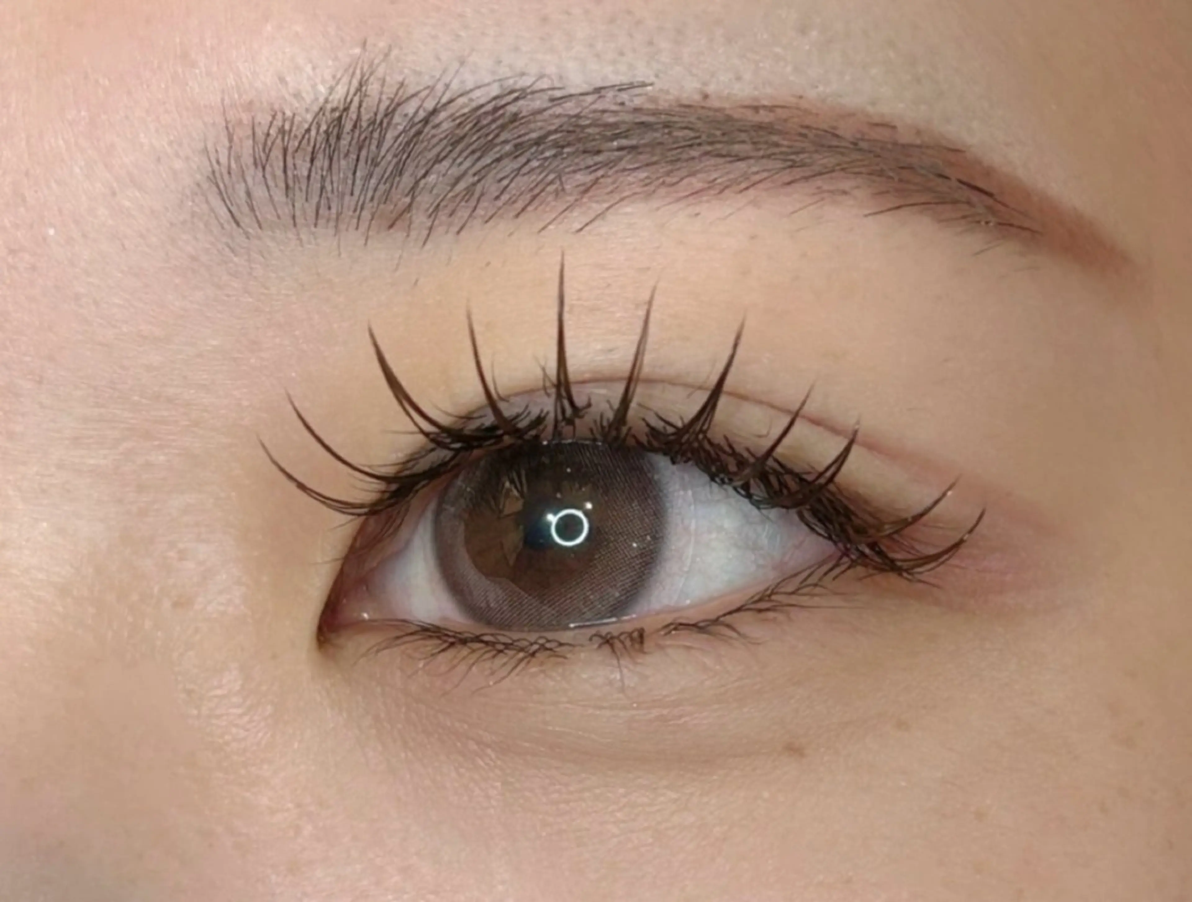 網紅(ワンホン)マツエク100本～120本の写真