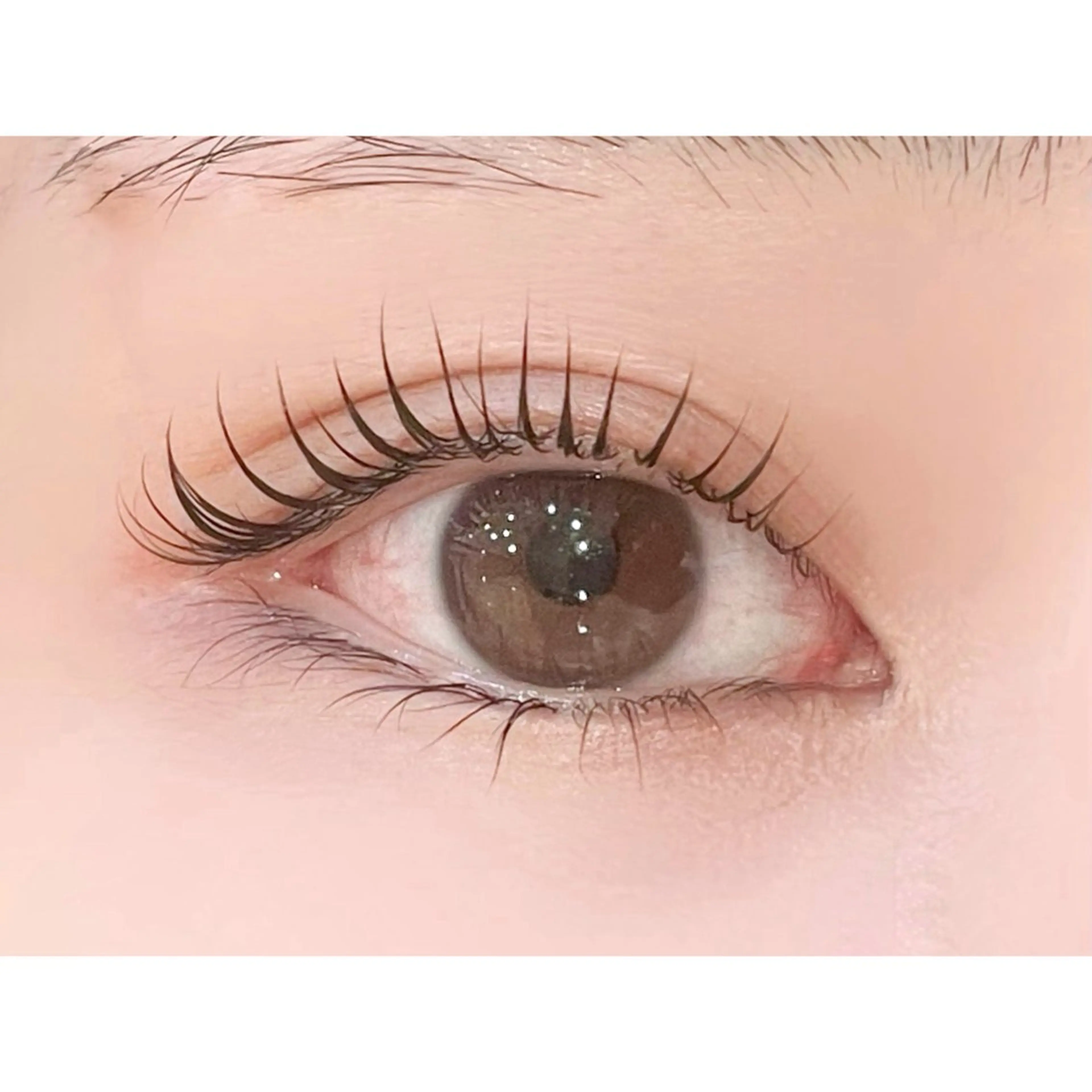 マツエク・マツパ まつげパーマ nicott lash京橋店のマツエク・マツパデザイン