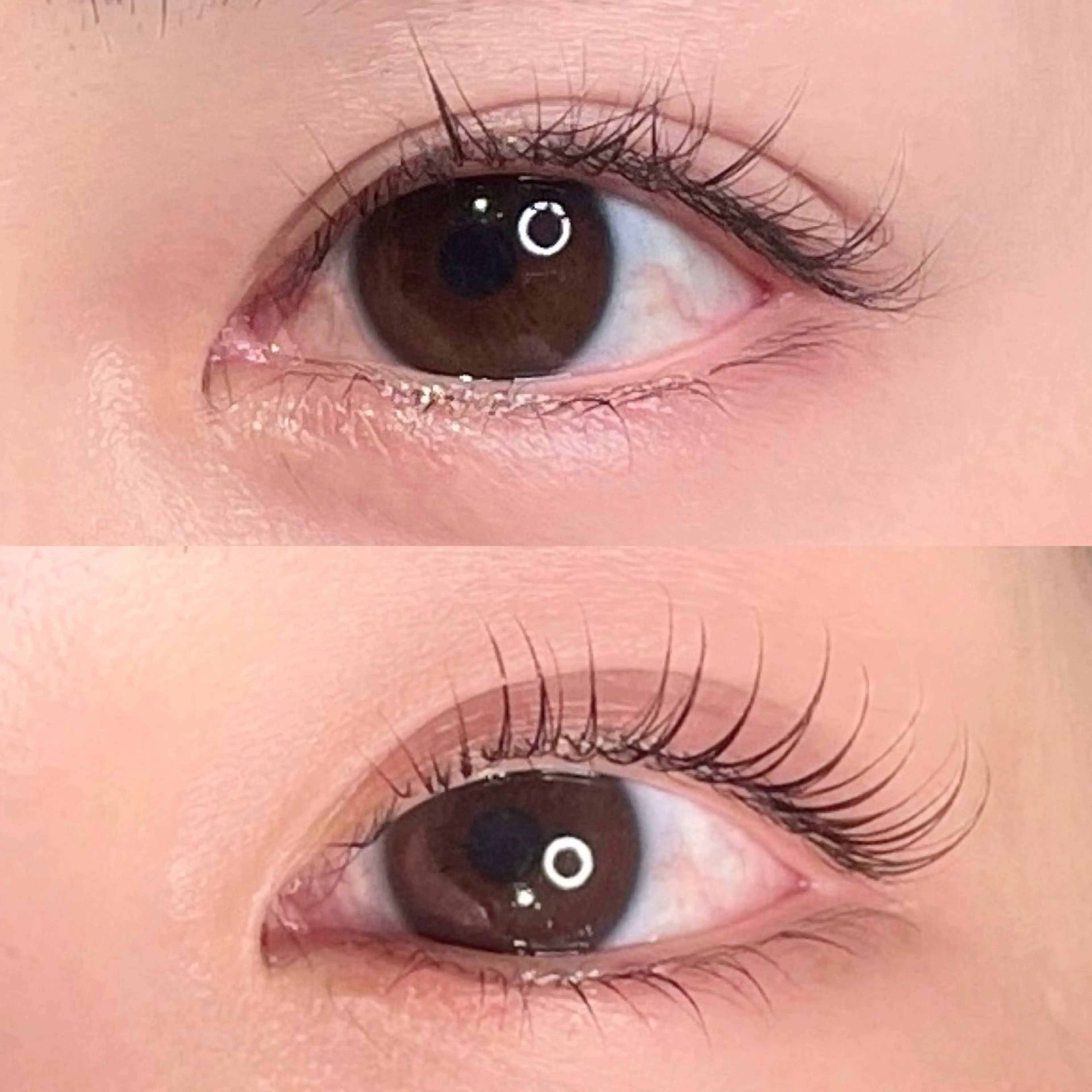 マツエク・マツパ Nao 🌿.∘の眉毛・アイブロウイメージ