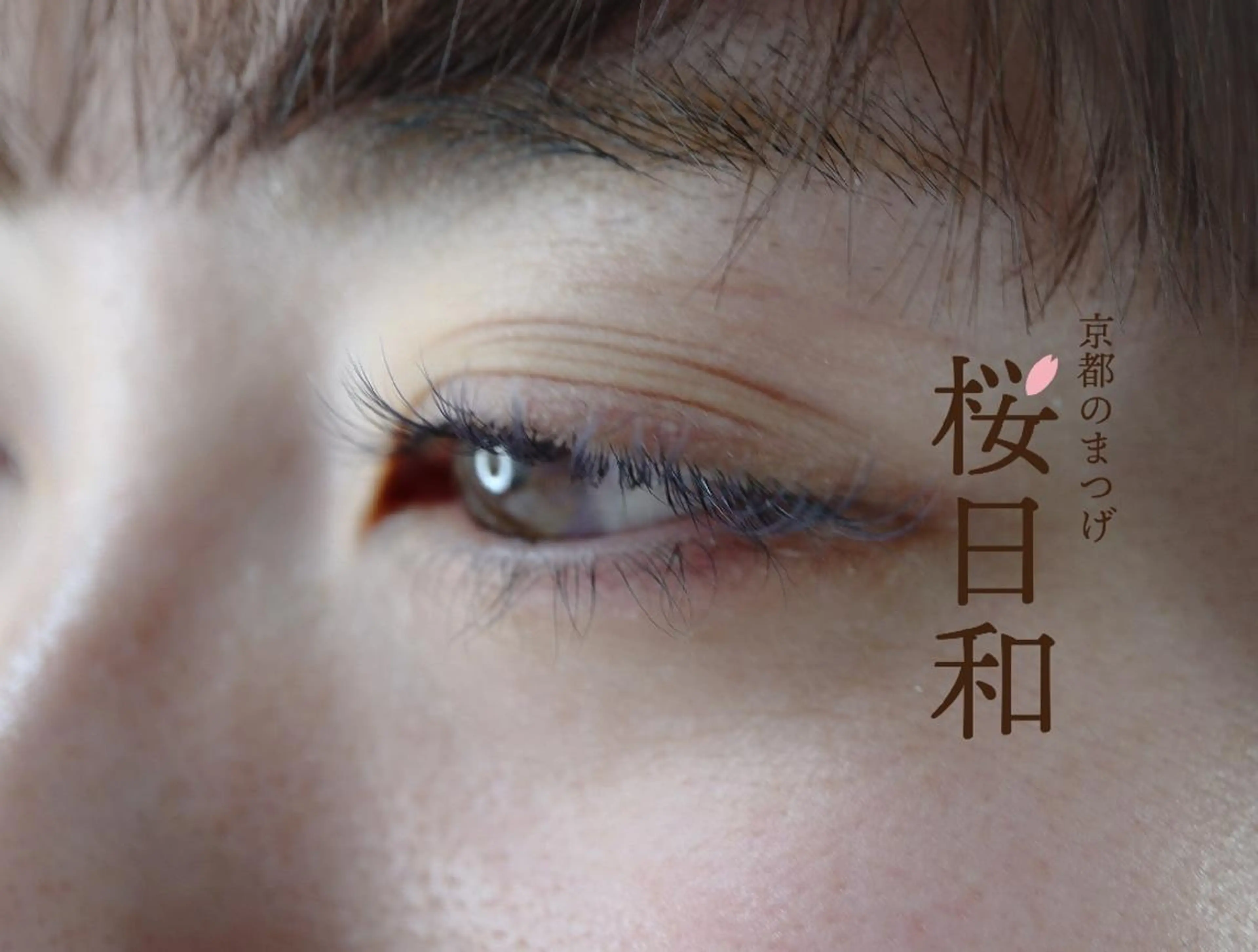 マツエク・マツパ フラットラッシュ Jカール まつげパーマ セクシー 一重×まつ毛パーマ 京都のまつげ桜日和 小島美桜のマツエク・マツパデザイン