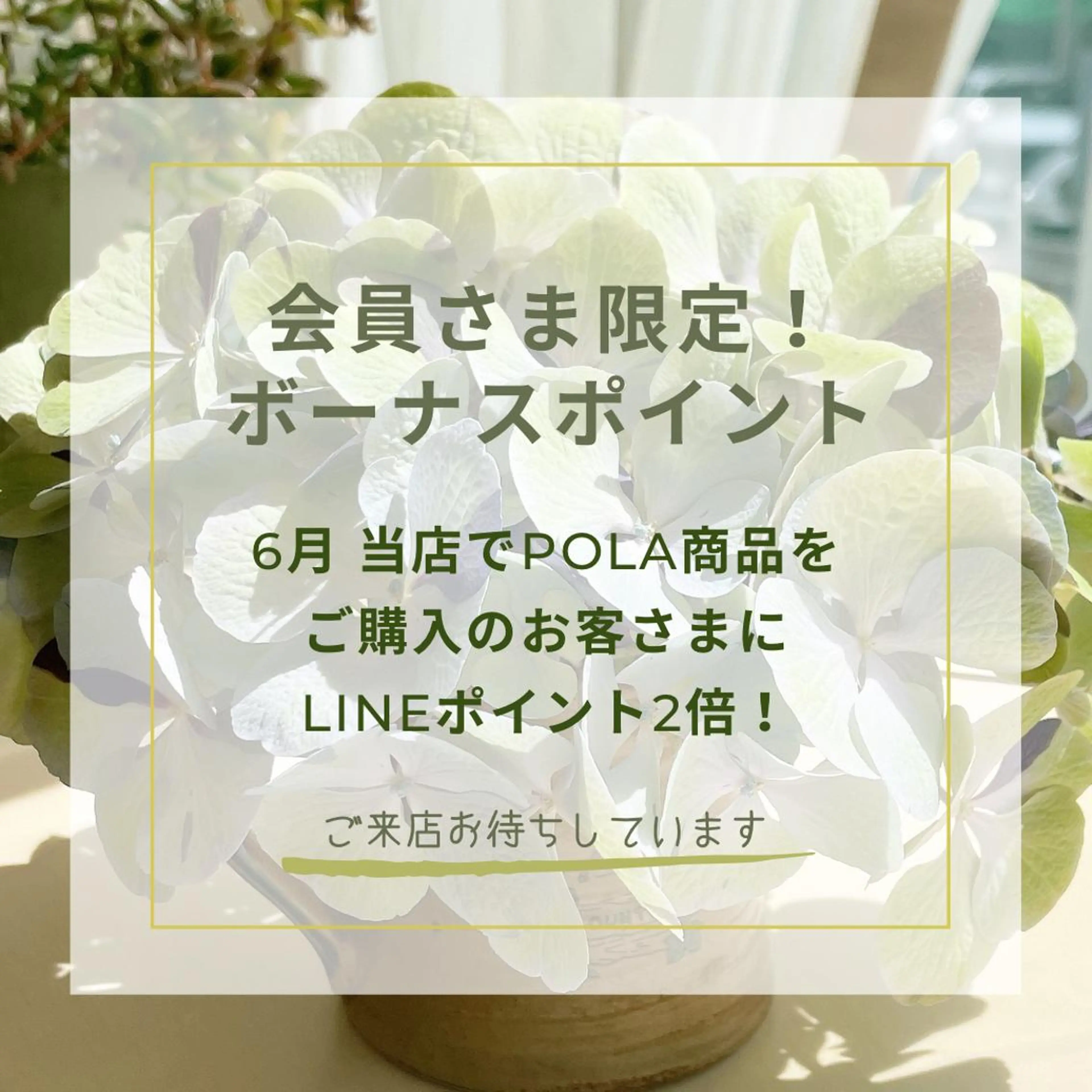 POLAエステインプリズム所属・POLA エステインプリズムのエステ・リラクイメージ