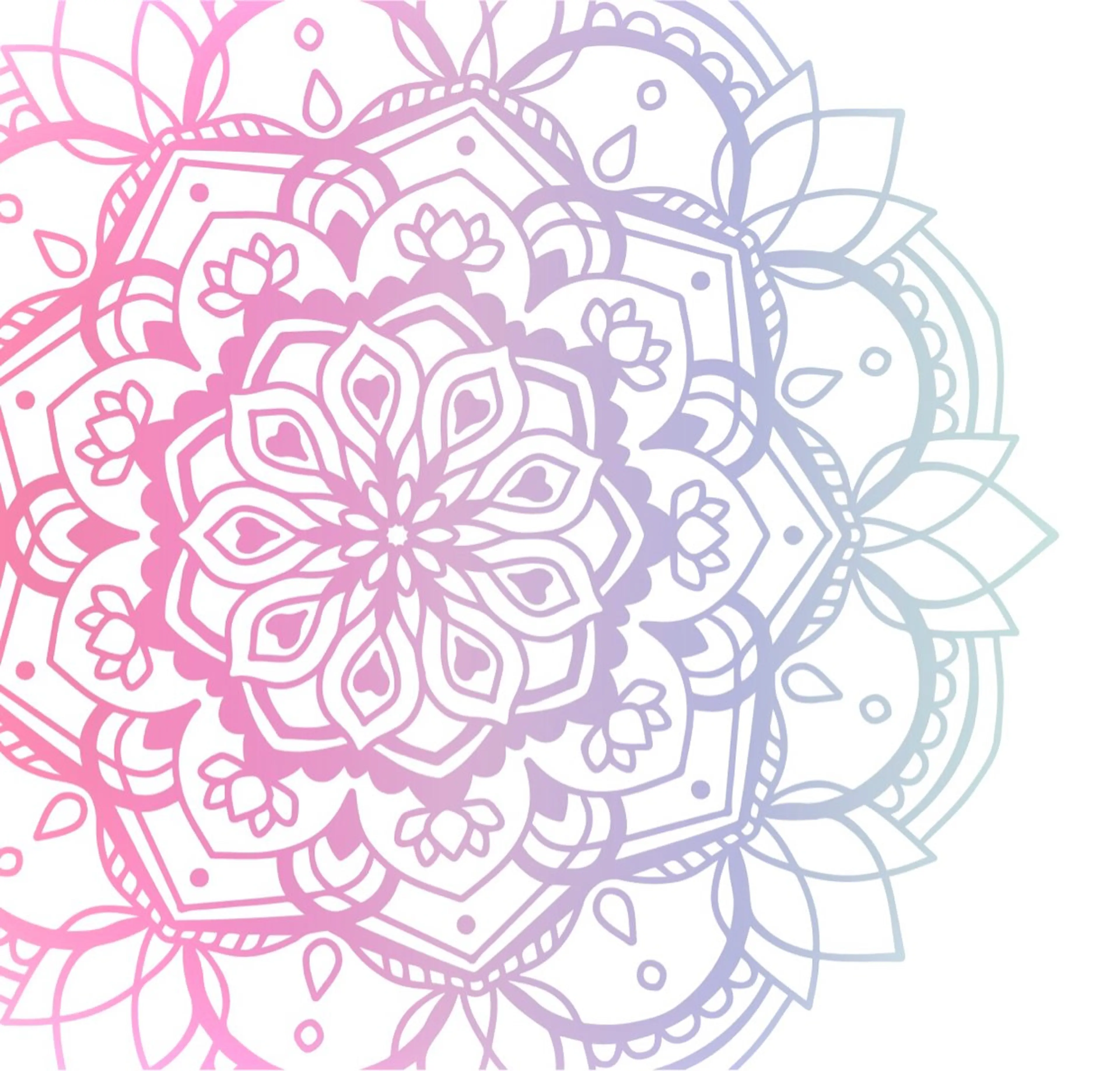 2回目限定クーポン(口コミ割引)の写真