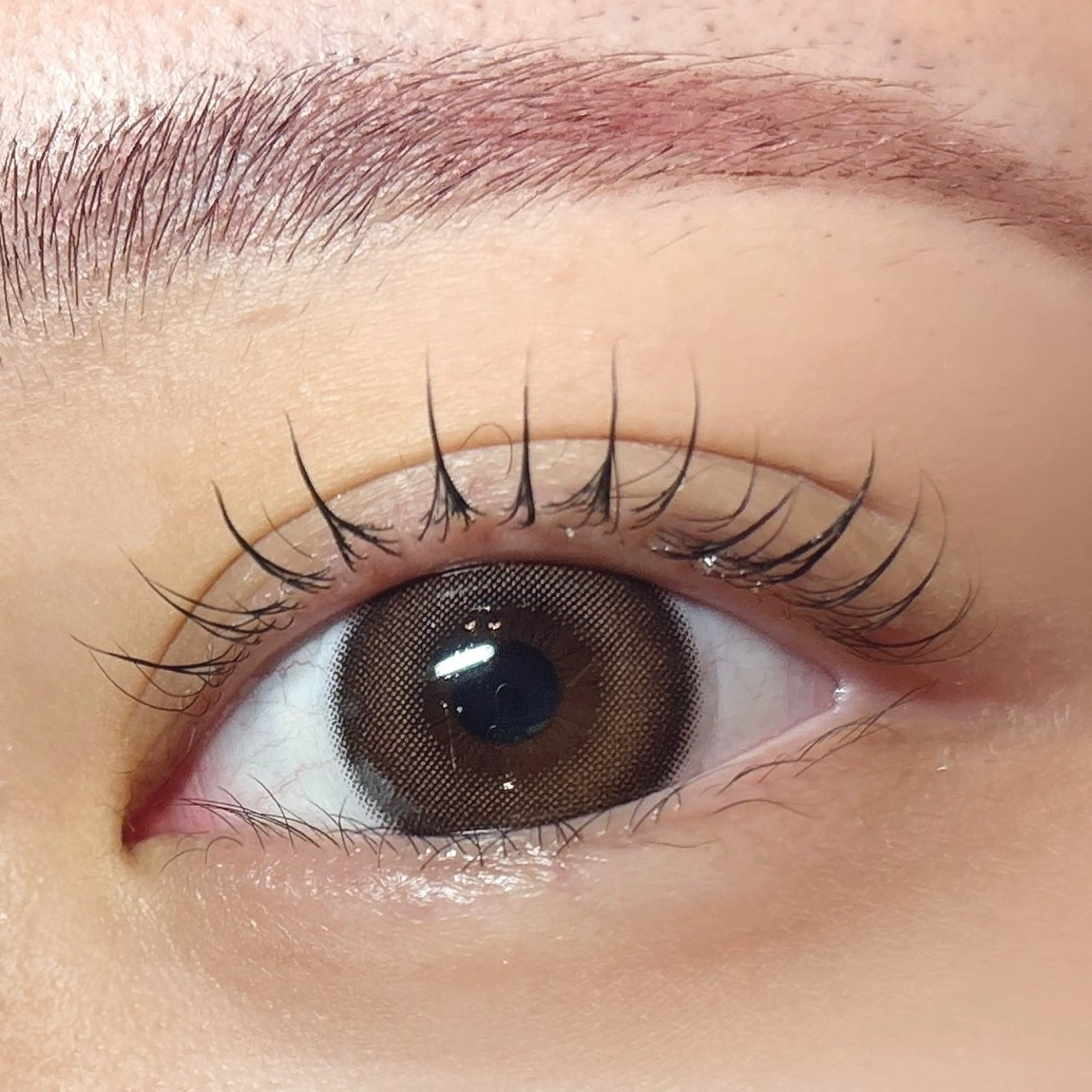 マツエク・マツパ naitre 🌼SHIORI🌼のマツエク・マツパデザイン