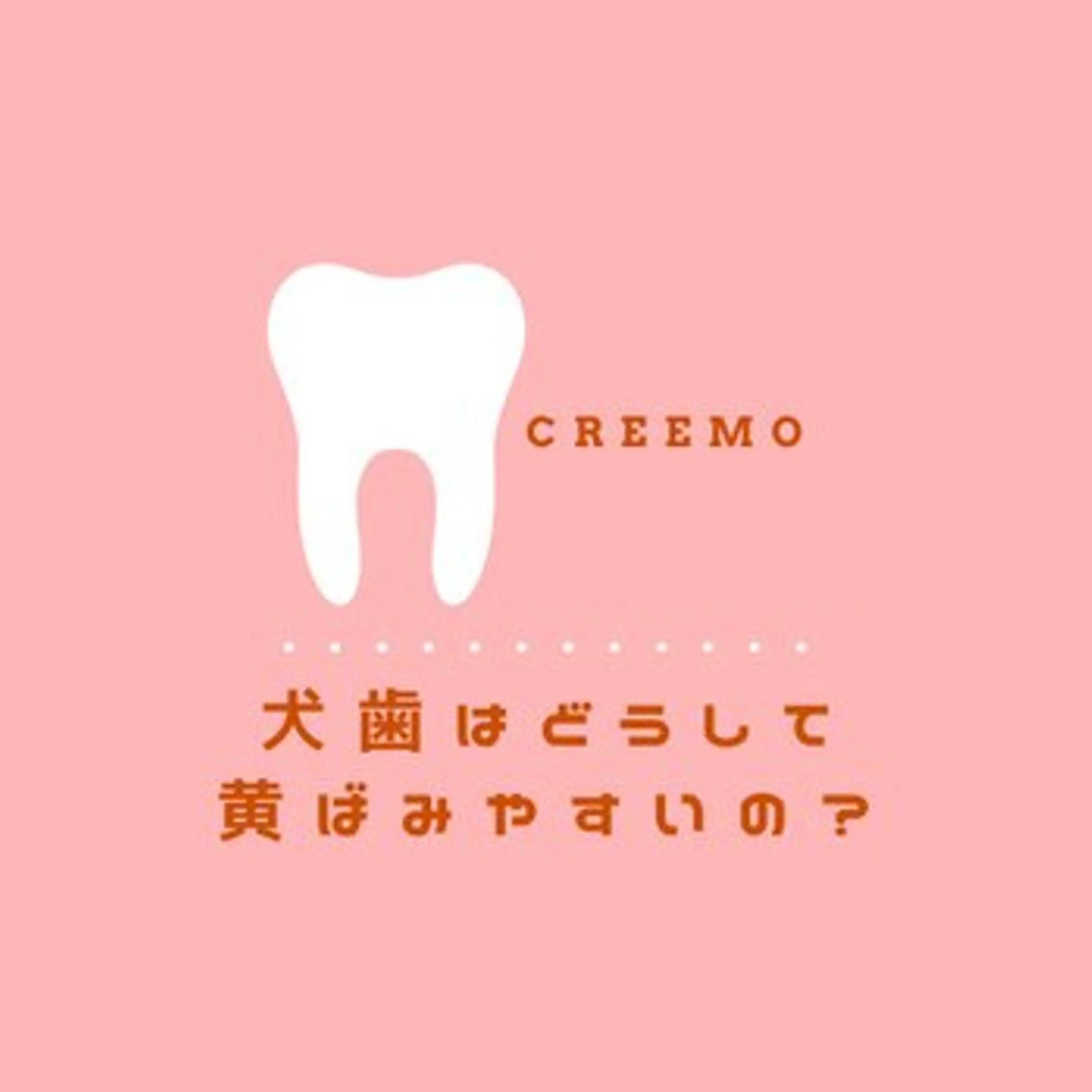 歯のホワイトニング HARU南浦和のその他イメージ