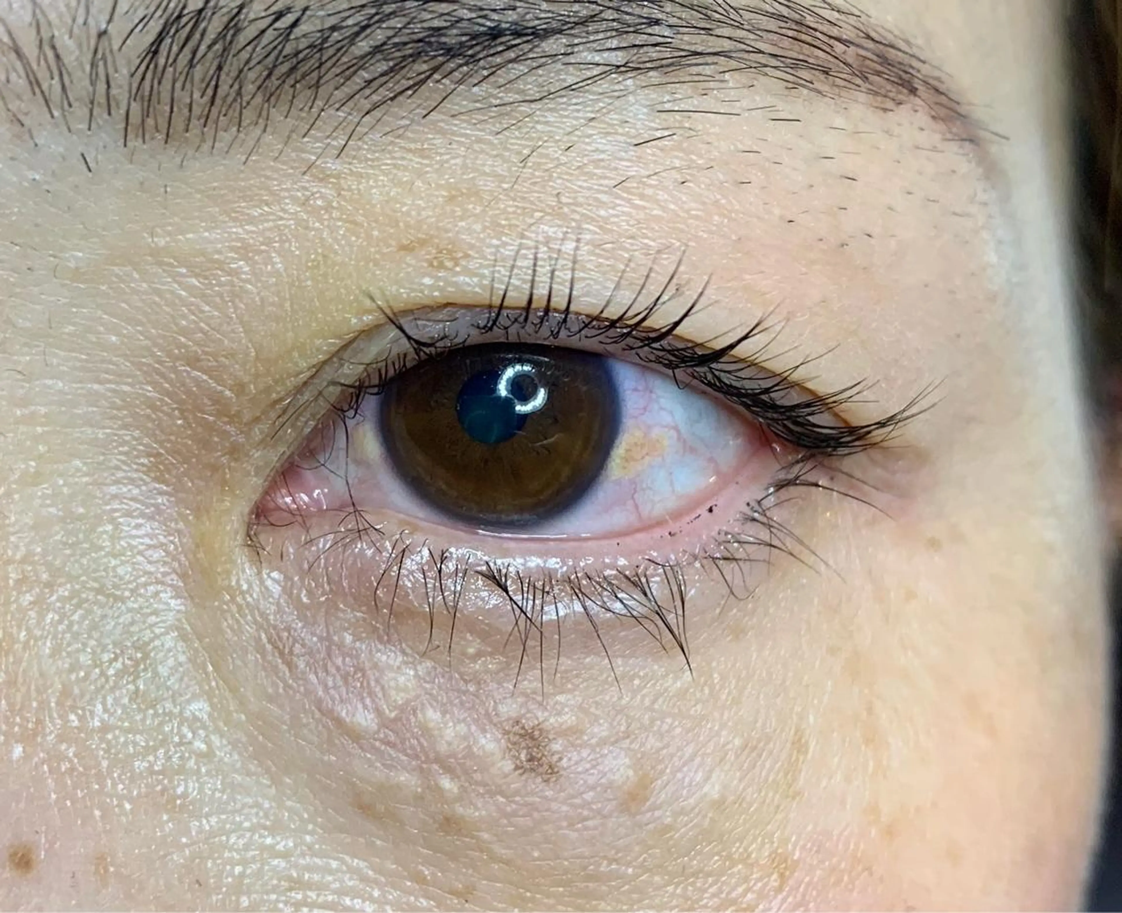 マツエク・マツパ ヘアーメイクWILL所属・堀 夏実のマツエク・マツパデザイン