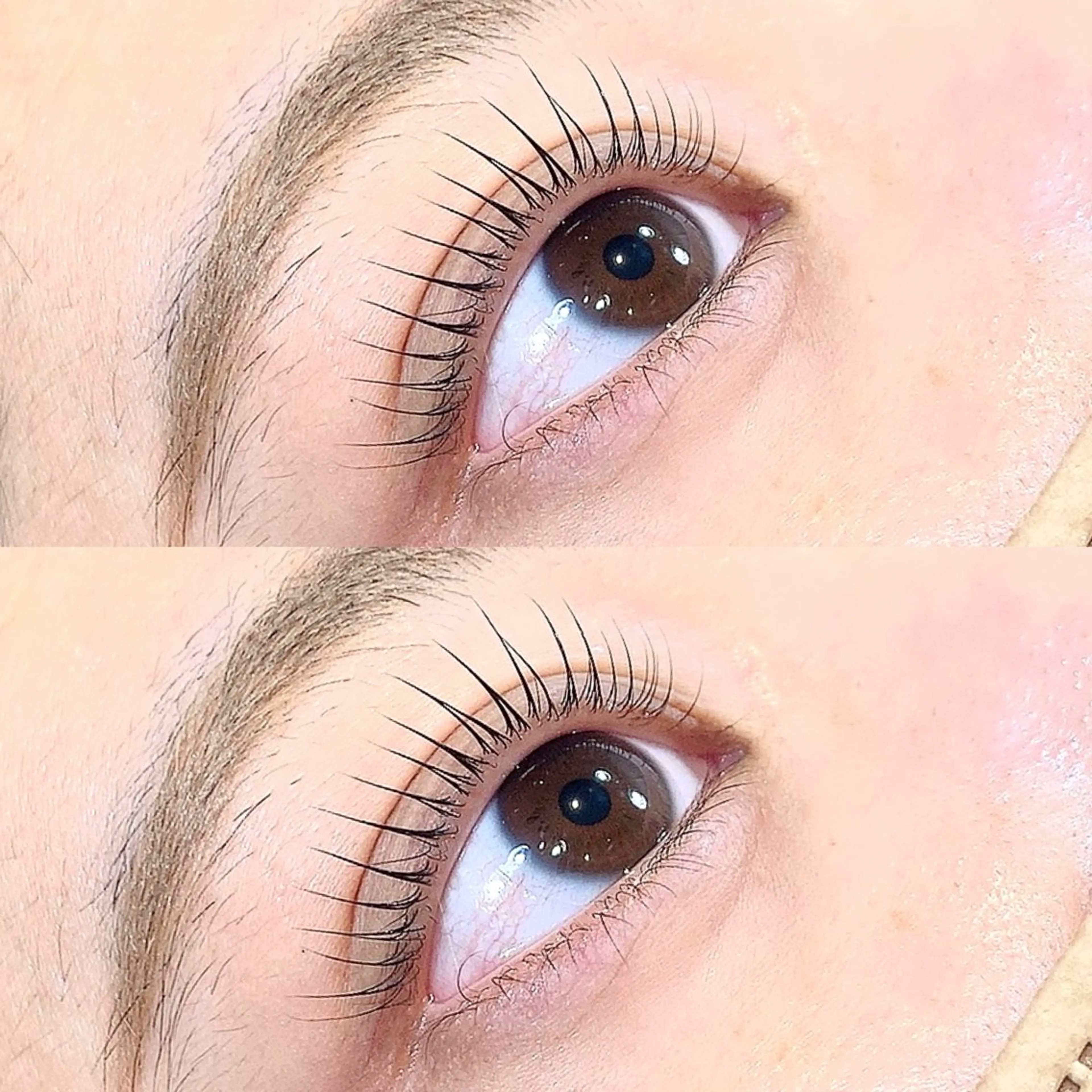 🎄12/24(水)、25(木)限定🎄似合わせ束感まつ毛パーマ¥6980→の写真