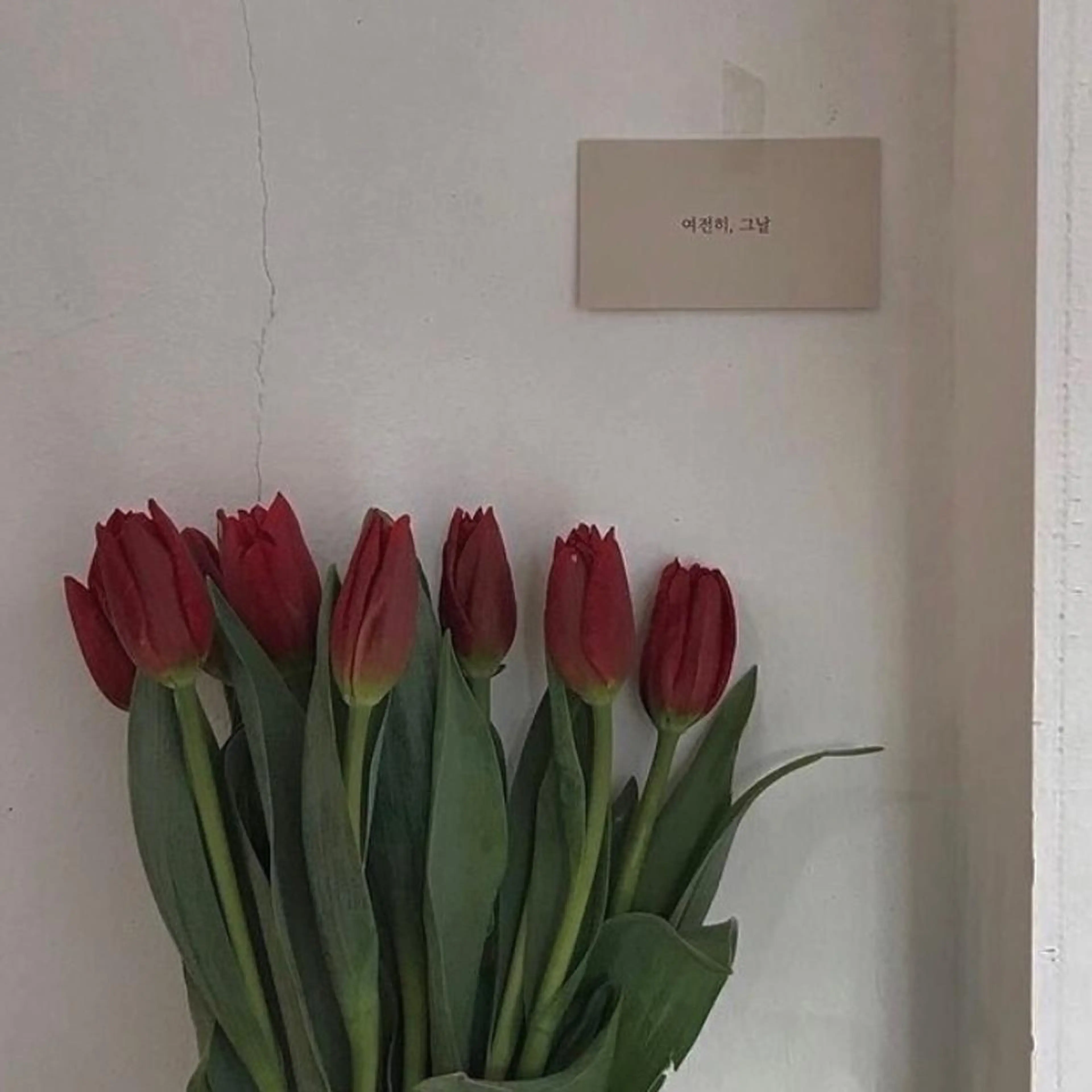 ネイル ネイルズシャトン🪡 ネイリスト齊藤のネイルデザイン