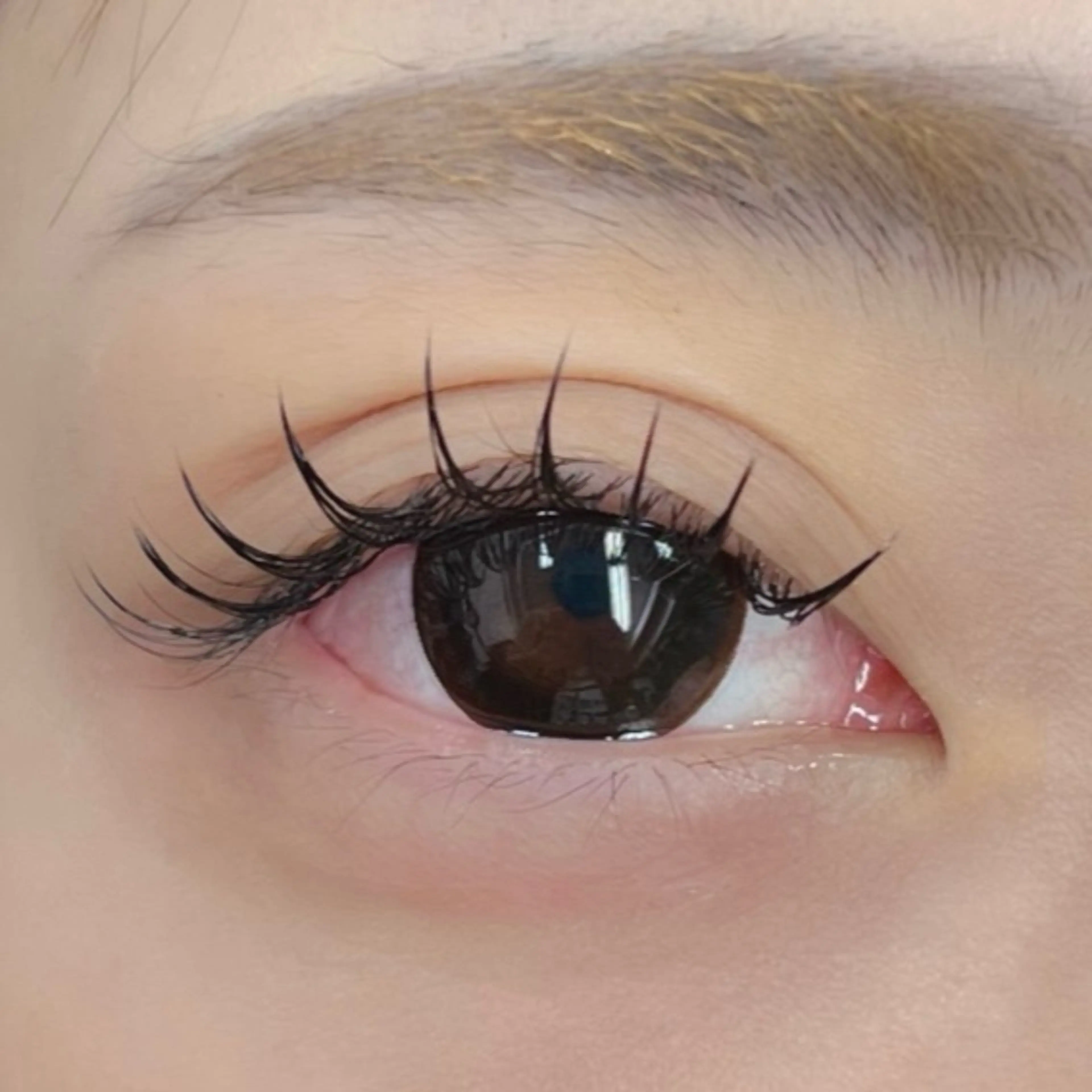 マツエク・マツパ フラットラッシュ マツエク Moe/韓国風/ 束感/キュート❤︎のマツエク・マツパデザイン