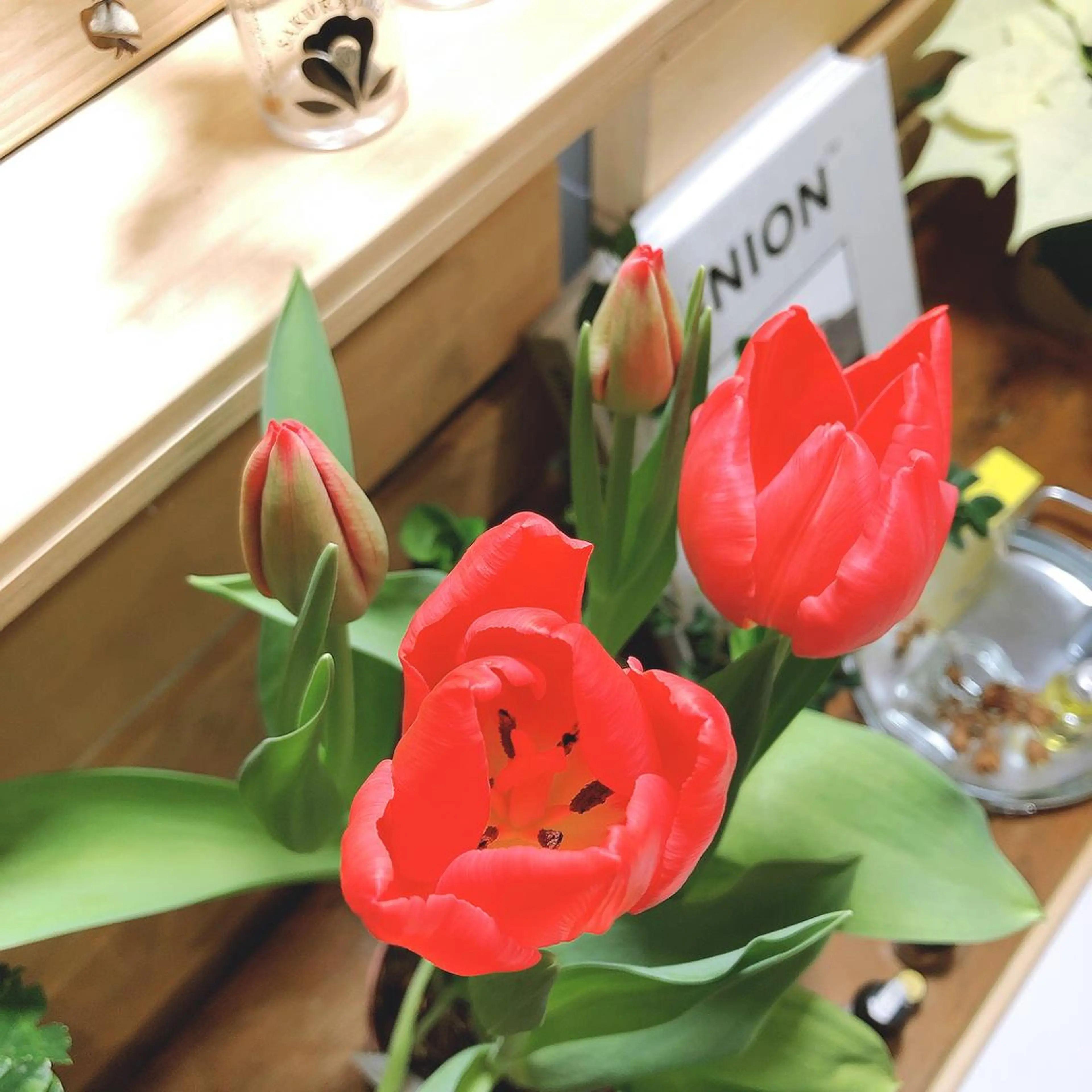 マツエク・マツパ なかむら 🪡のマツエク・マツパデザイン