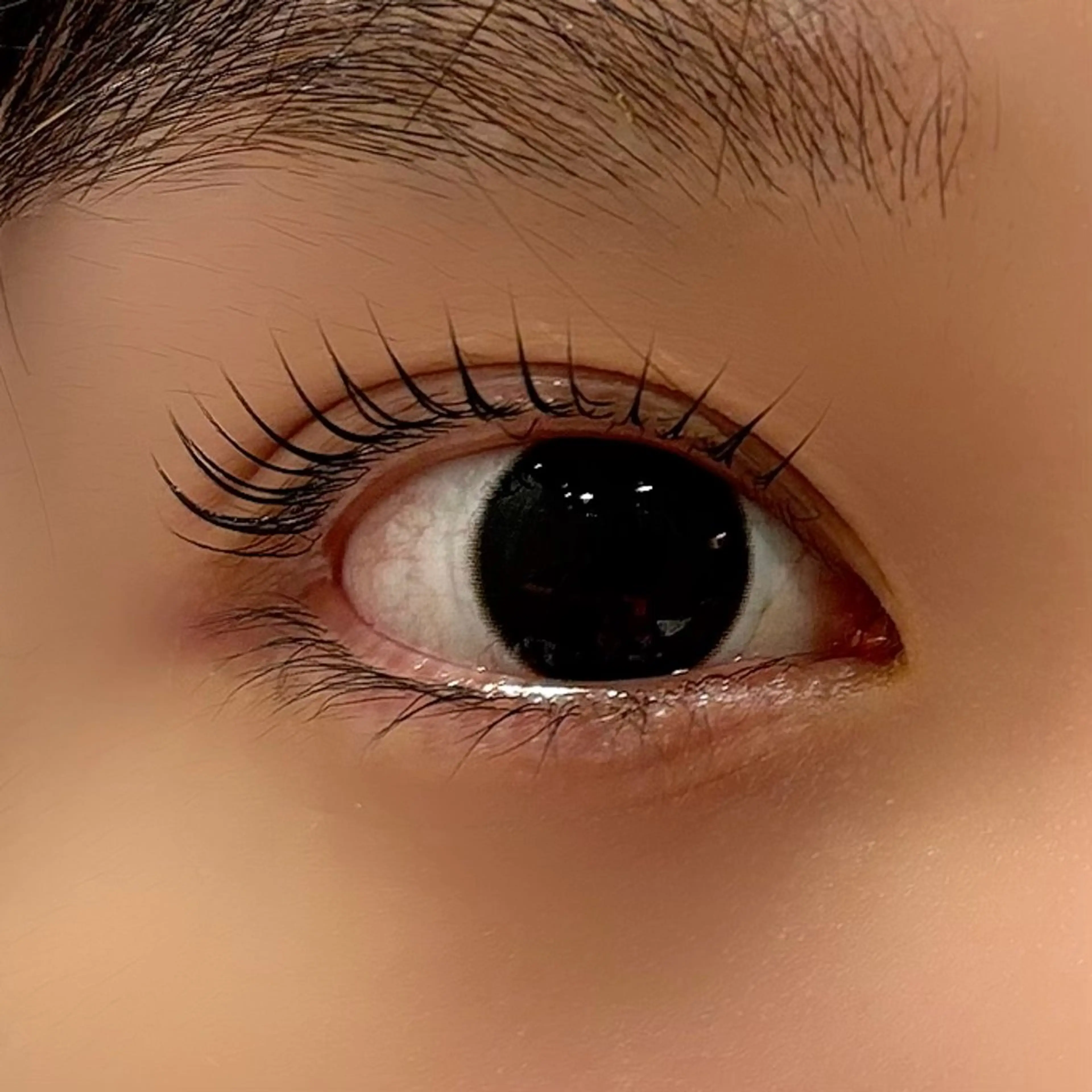 マツエク・マツパ 一重×まつ毛パーマ standard eye&nail所属・無料モデル募集🪽 Mai【品川】のマツエク・マツパデザイン