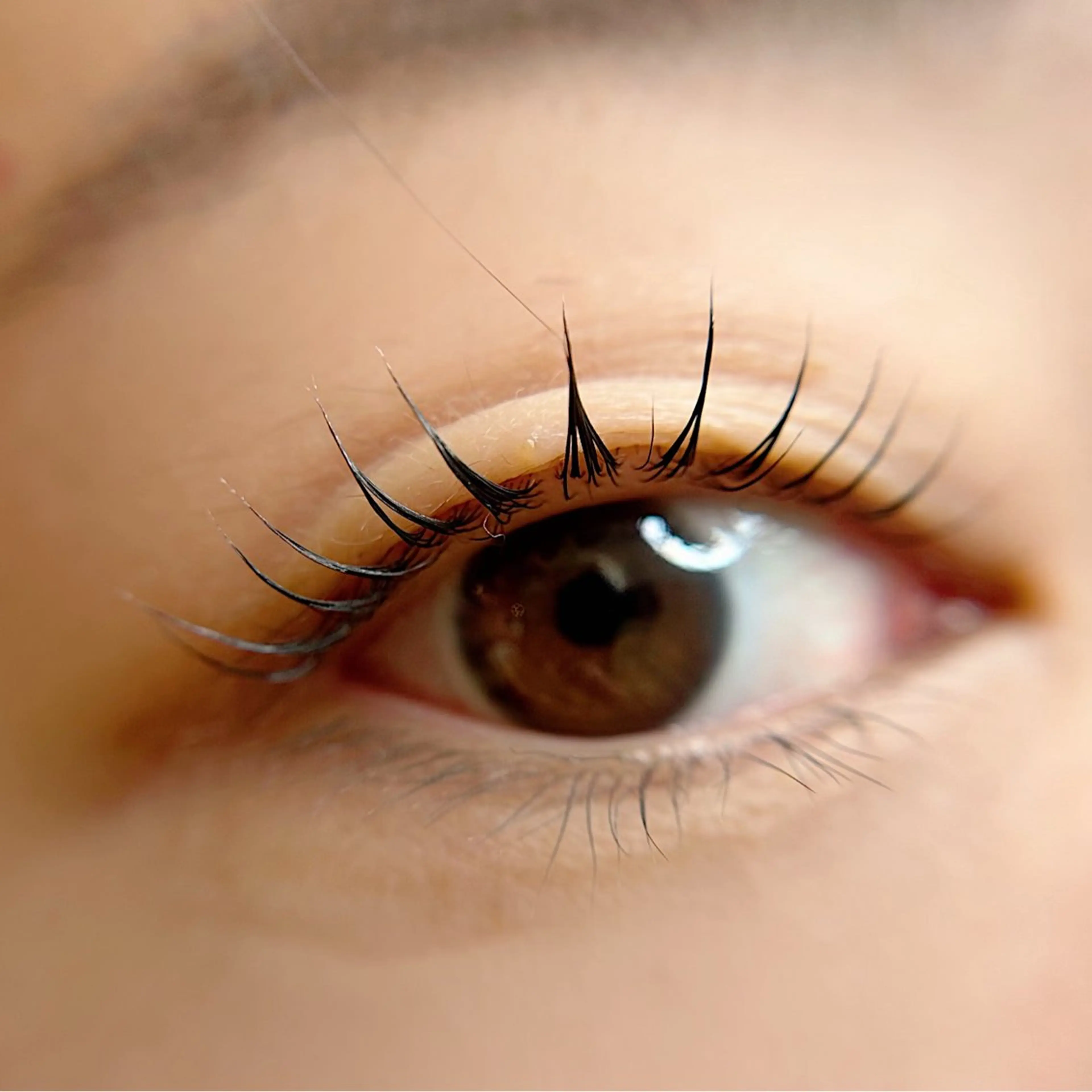 マツエク・マツパ 束感まつ毛 Citrine eyelash ✿のマツエク・マツパデザイン