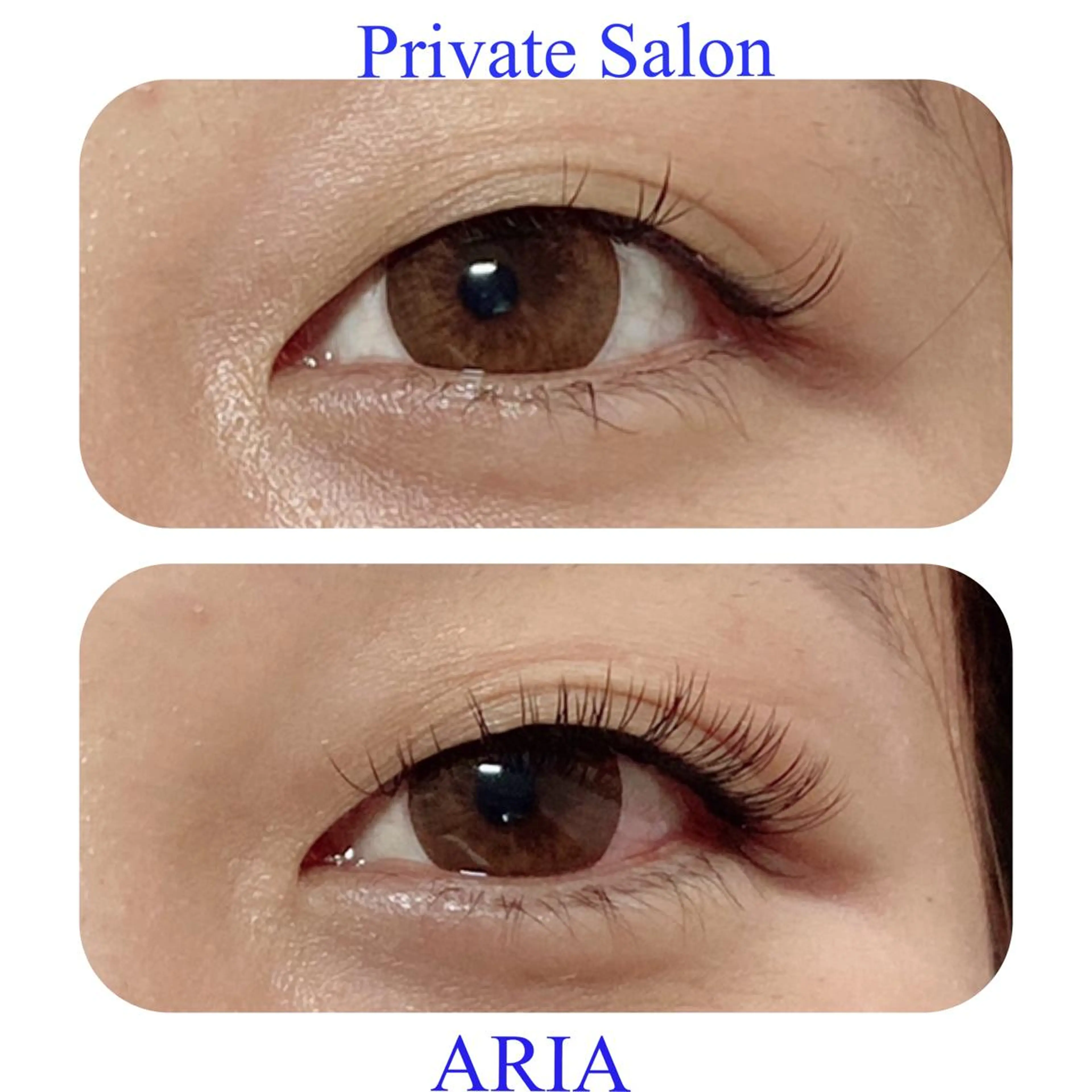 マツエク・マツパ フラットラッシュ マツエク ARIA所属・ARIAプライベート サロン五反田のマツエク・マツパデザイン