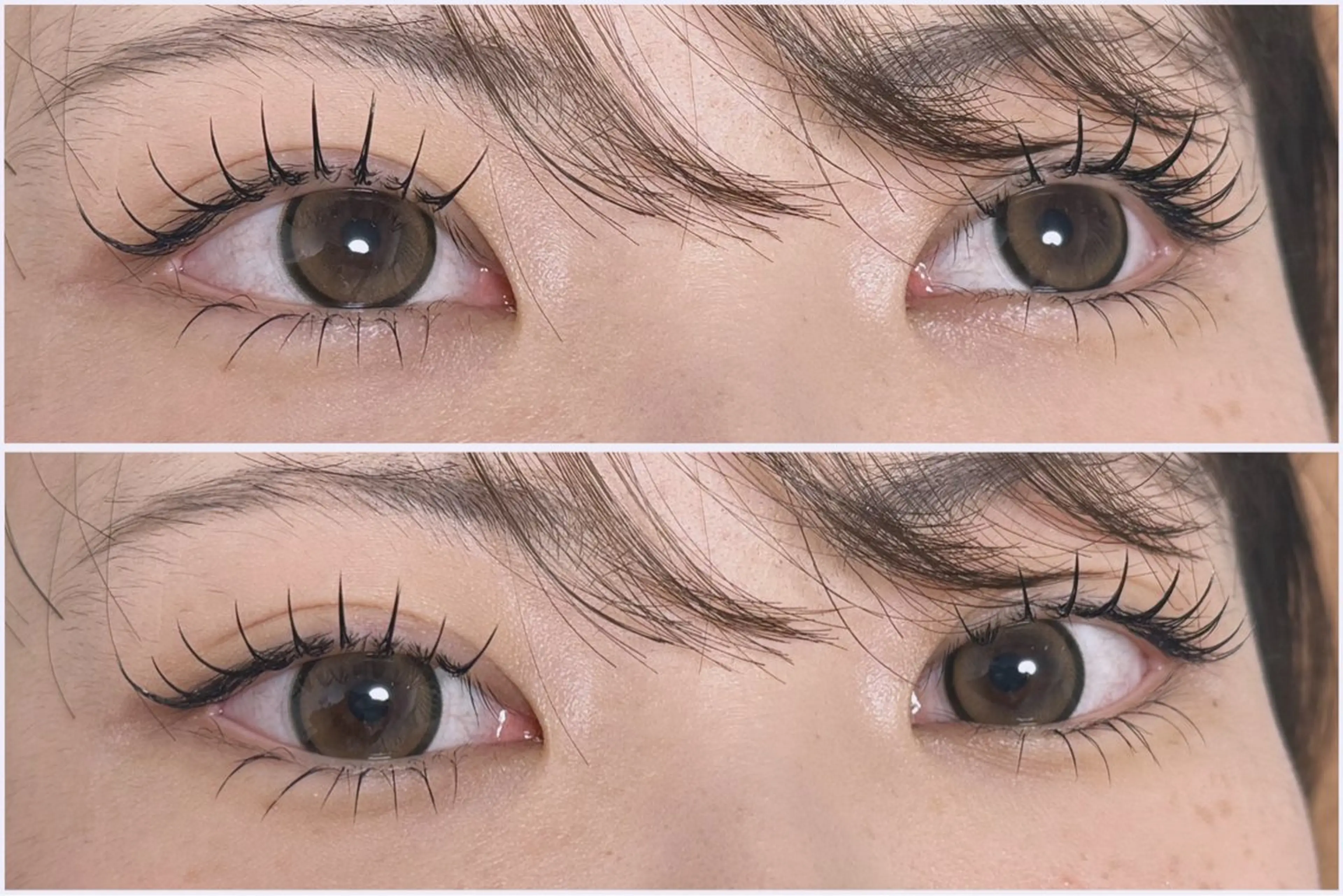 マツエク・マツパ マツエク EYELA 小針店 神子島の眉毛・アイブロウイメージ