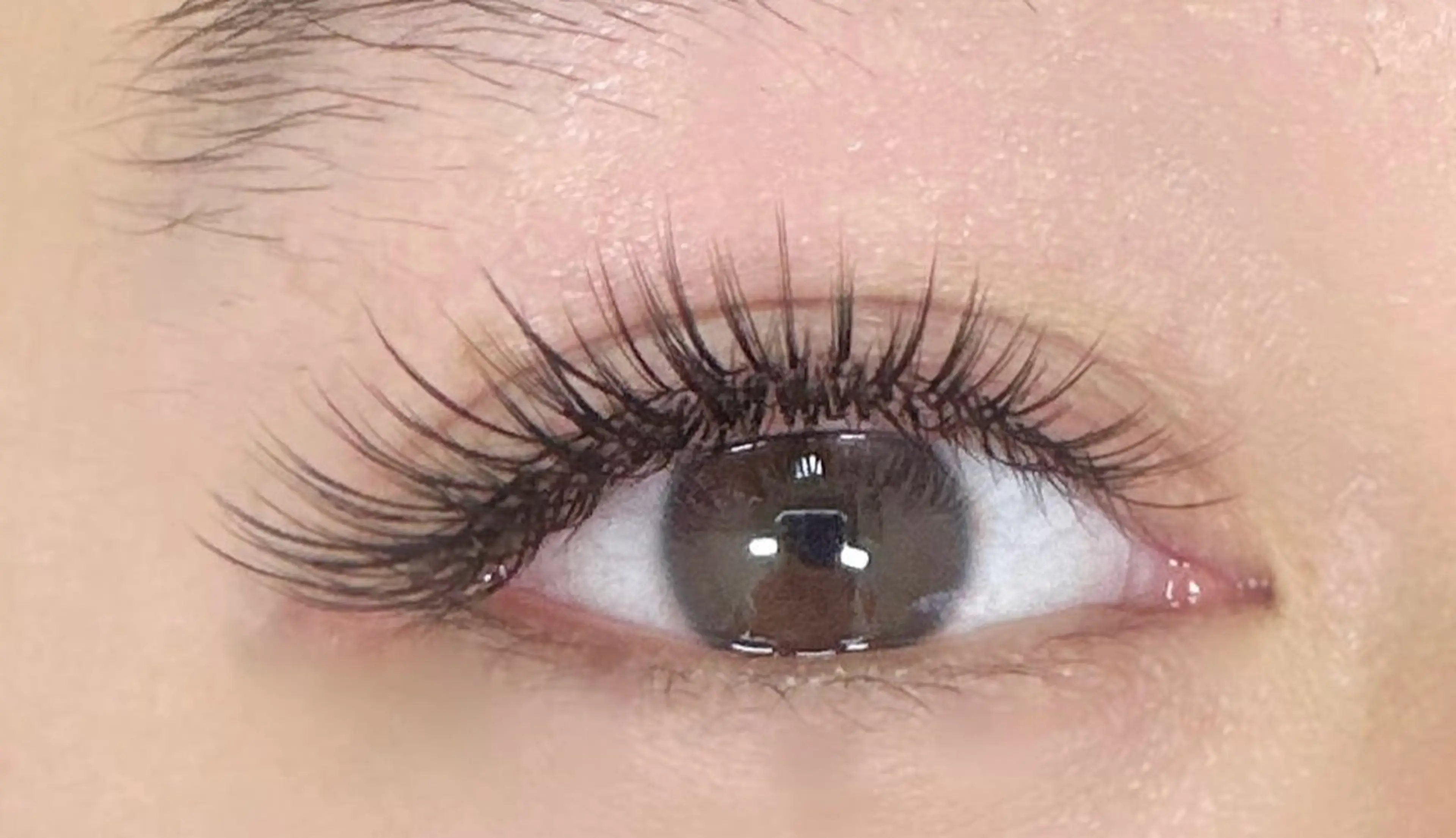 フラットマットラッシュ<上まつげつけ放題>（200本まで）アイシャンプー＆コーディング付きの写真