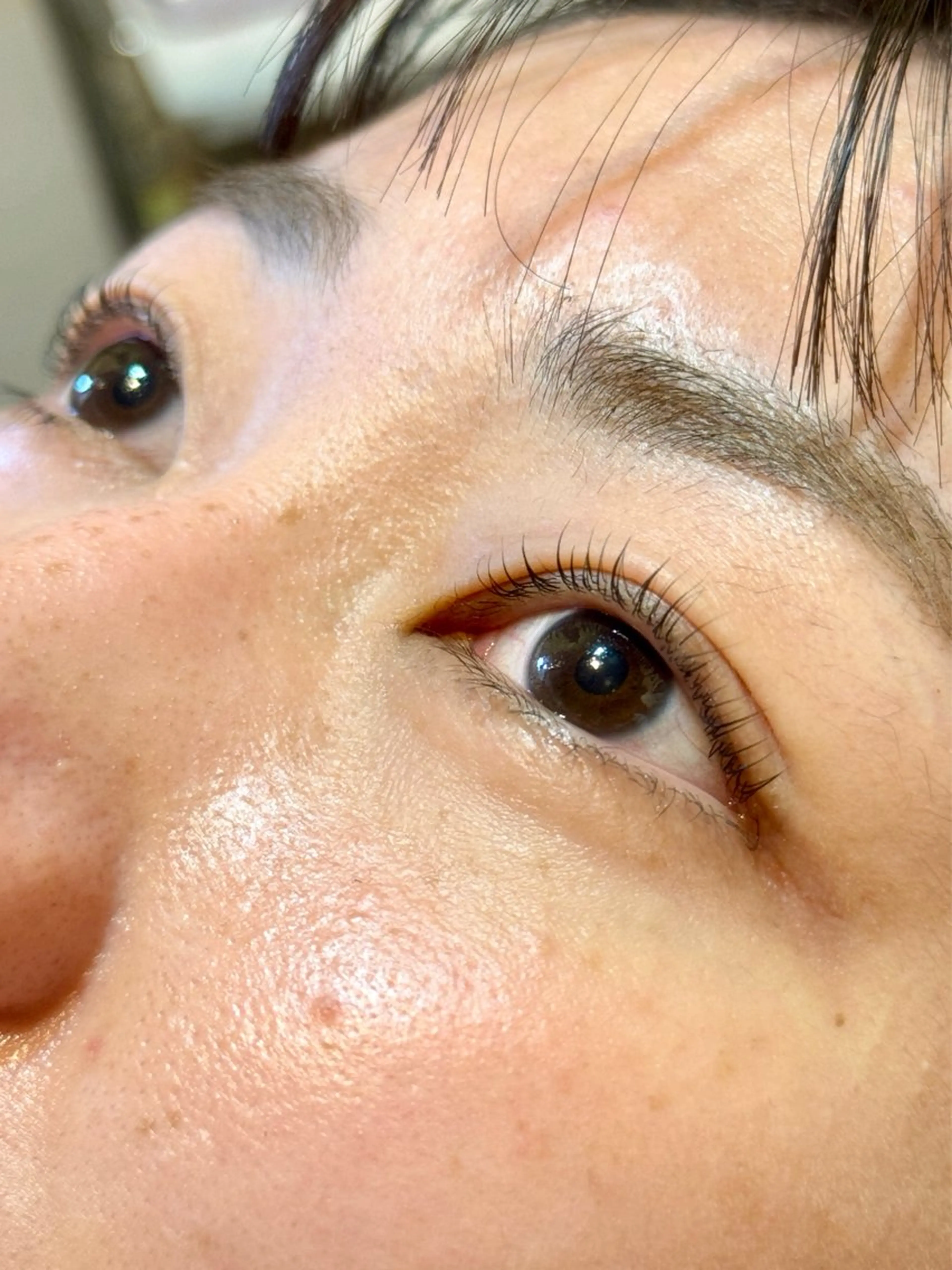 マツエク・マツパ PRIMO🐈🌱 マツパ/黒ティントのマツエク・マツパデザイン