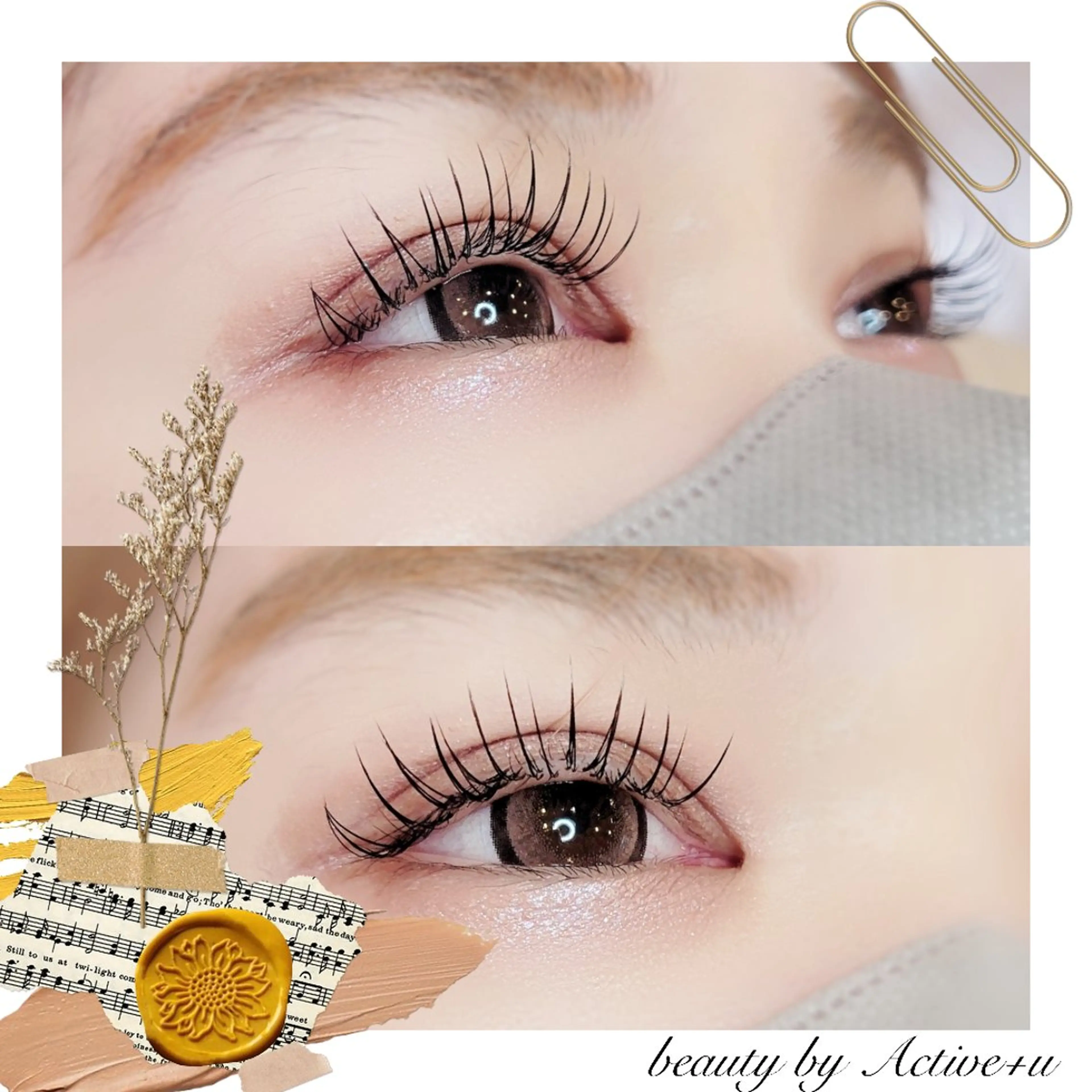 高持続💗Wフラットラッシュ100束の写真