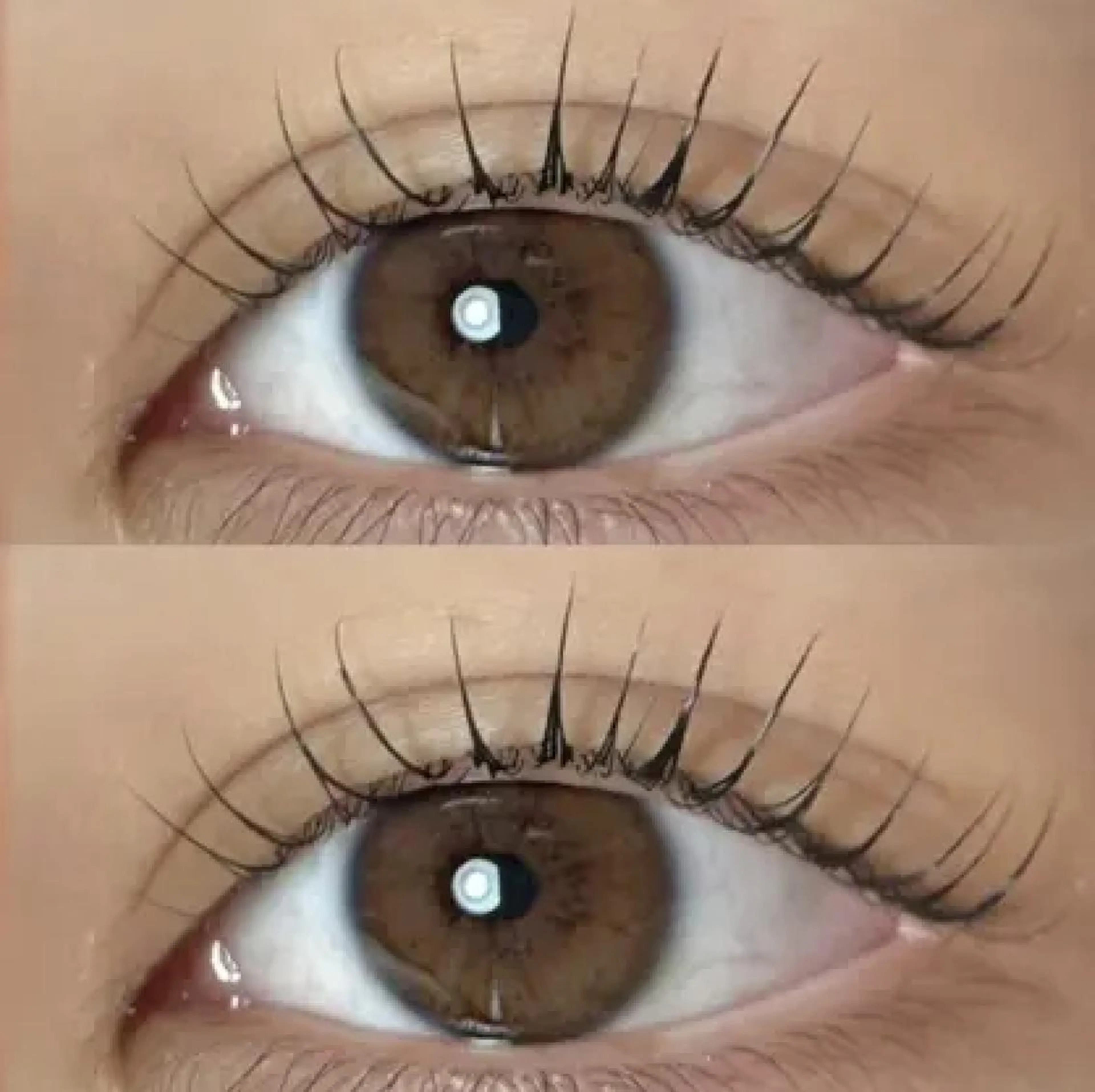 マツエク・マツパ Lash&Brow 🎀Eriのマツエク・マツパデザイン