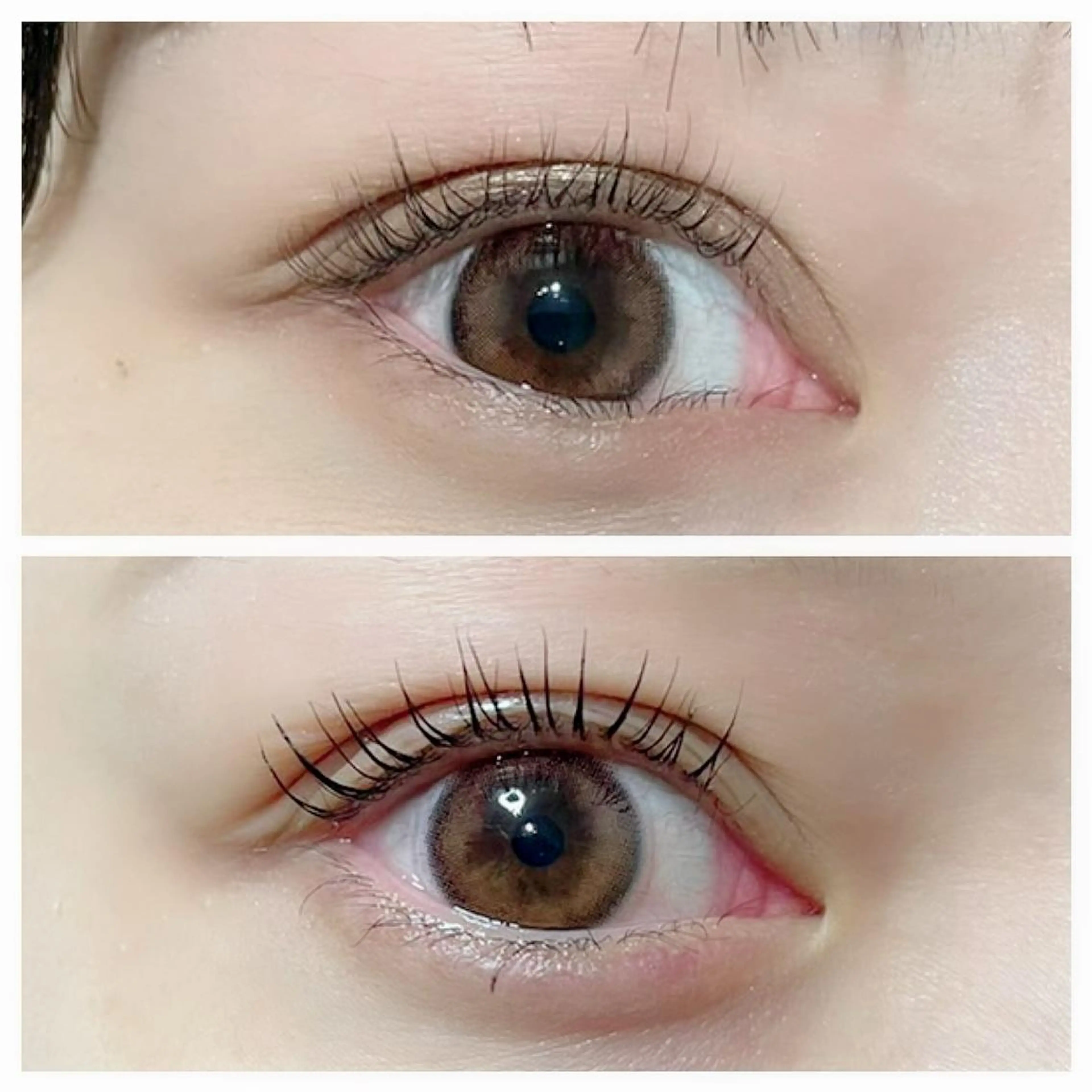 ＼12/23限定／　次世代まつげパーマの写真