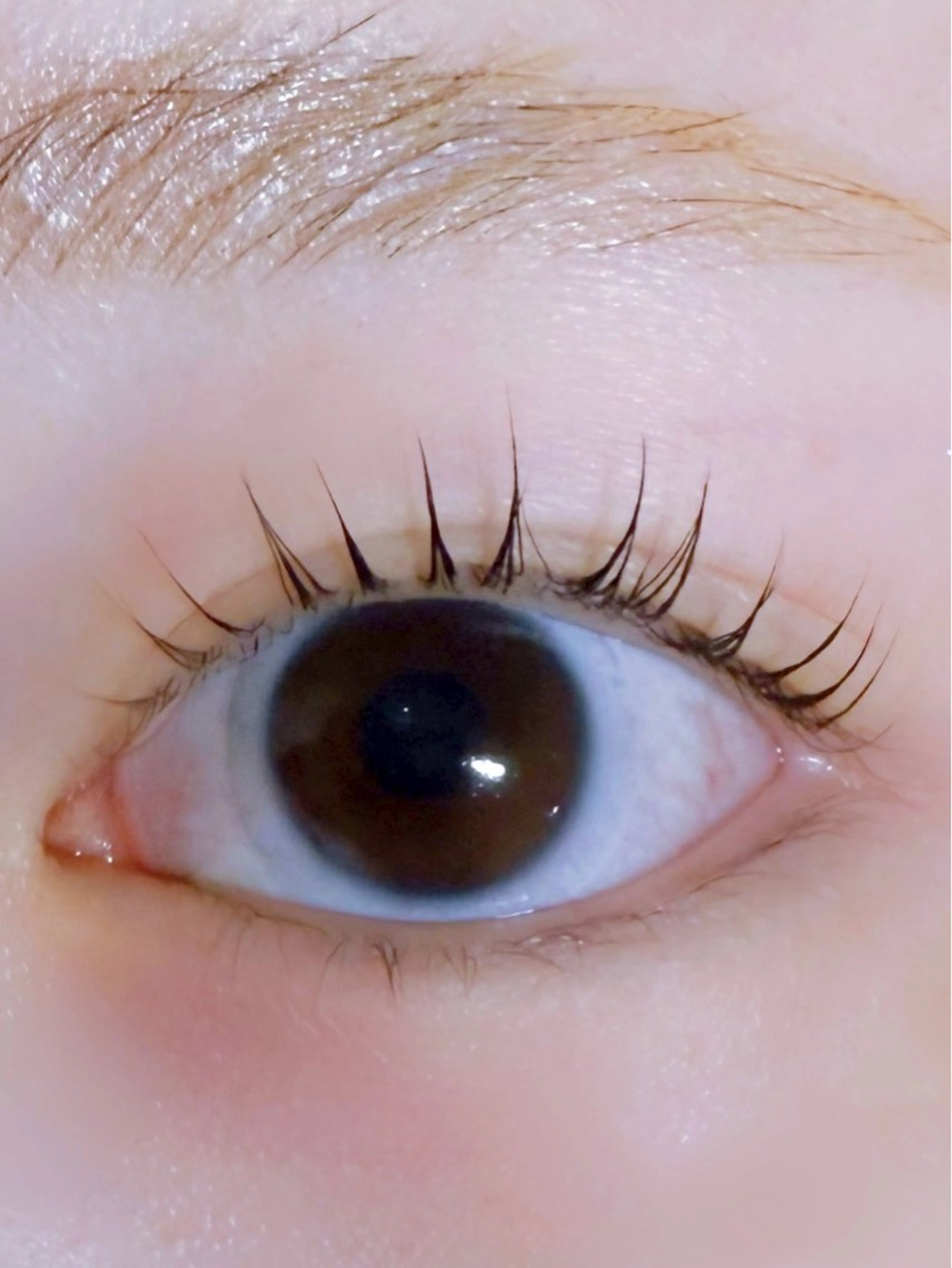 マツエク・マツパ マツパ Kotona所属・Rika 🐣のマツエク・マツパデザイン