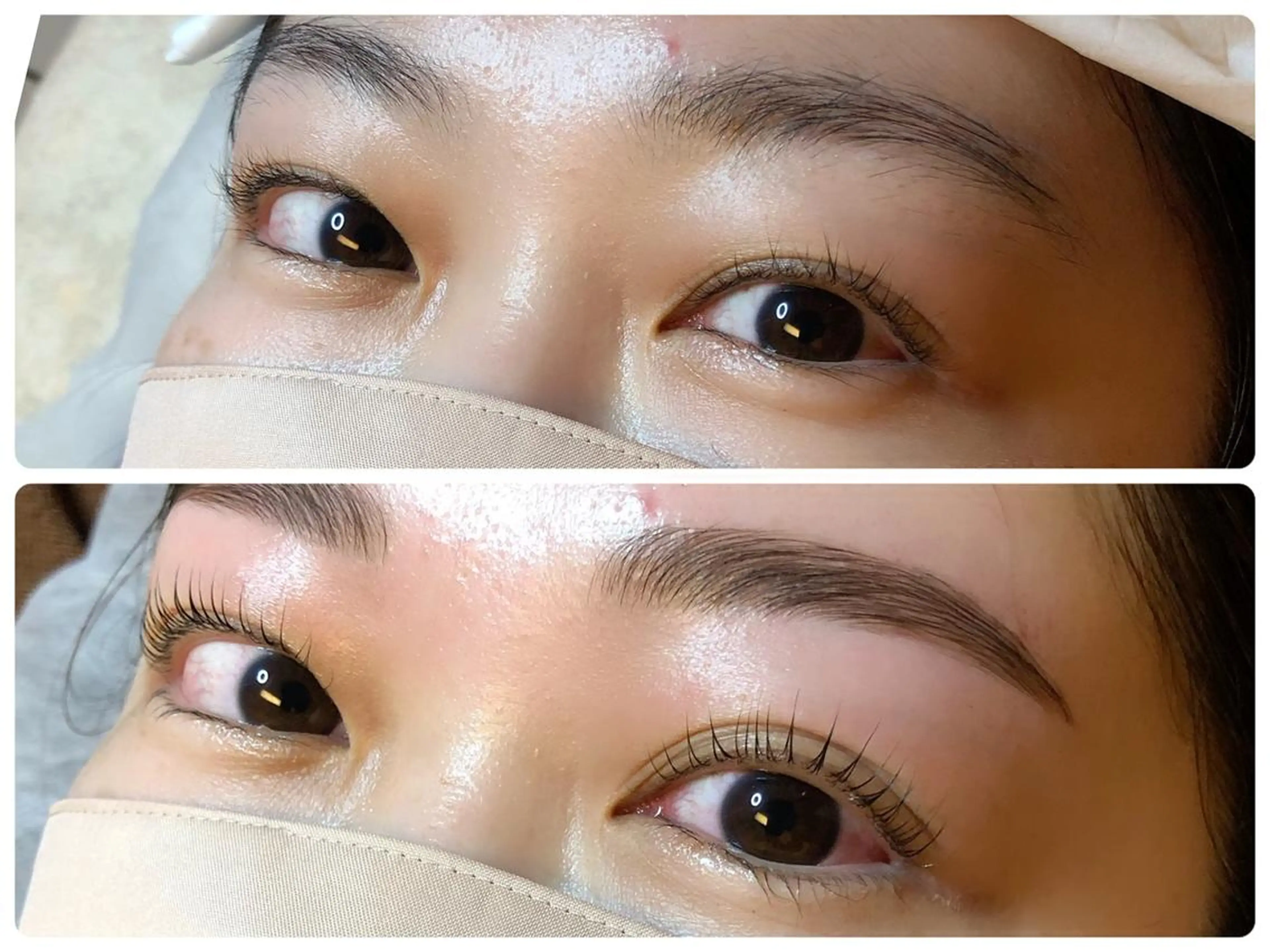 当日限定⭐️美眉WAXスタイリング+パリジェンヌラッシュリフトの写真