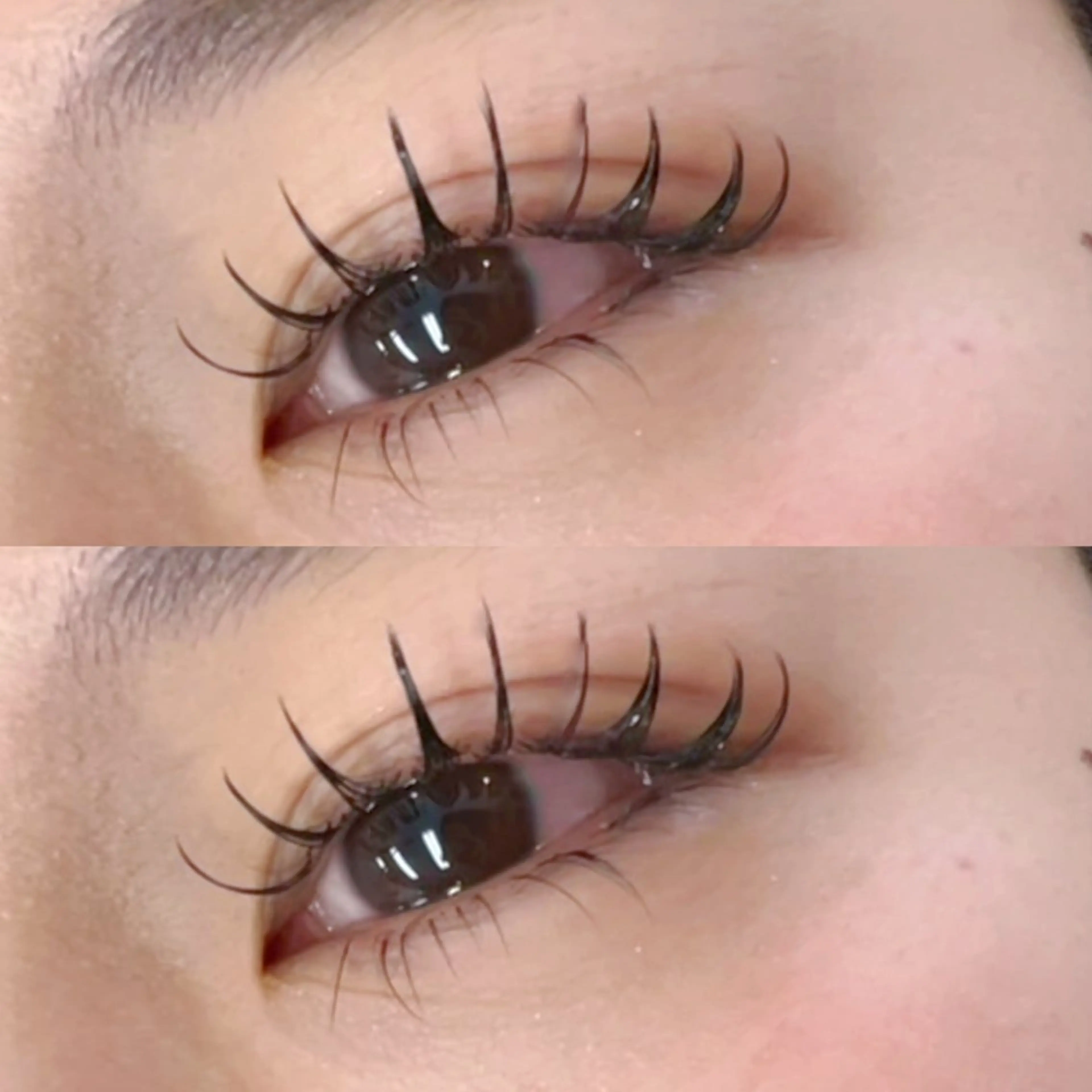 【12月限定】オフなし100本🌸フラットラッシュ オフ+500の写真