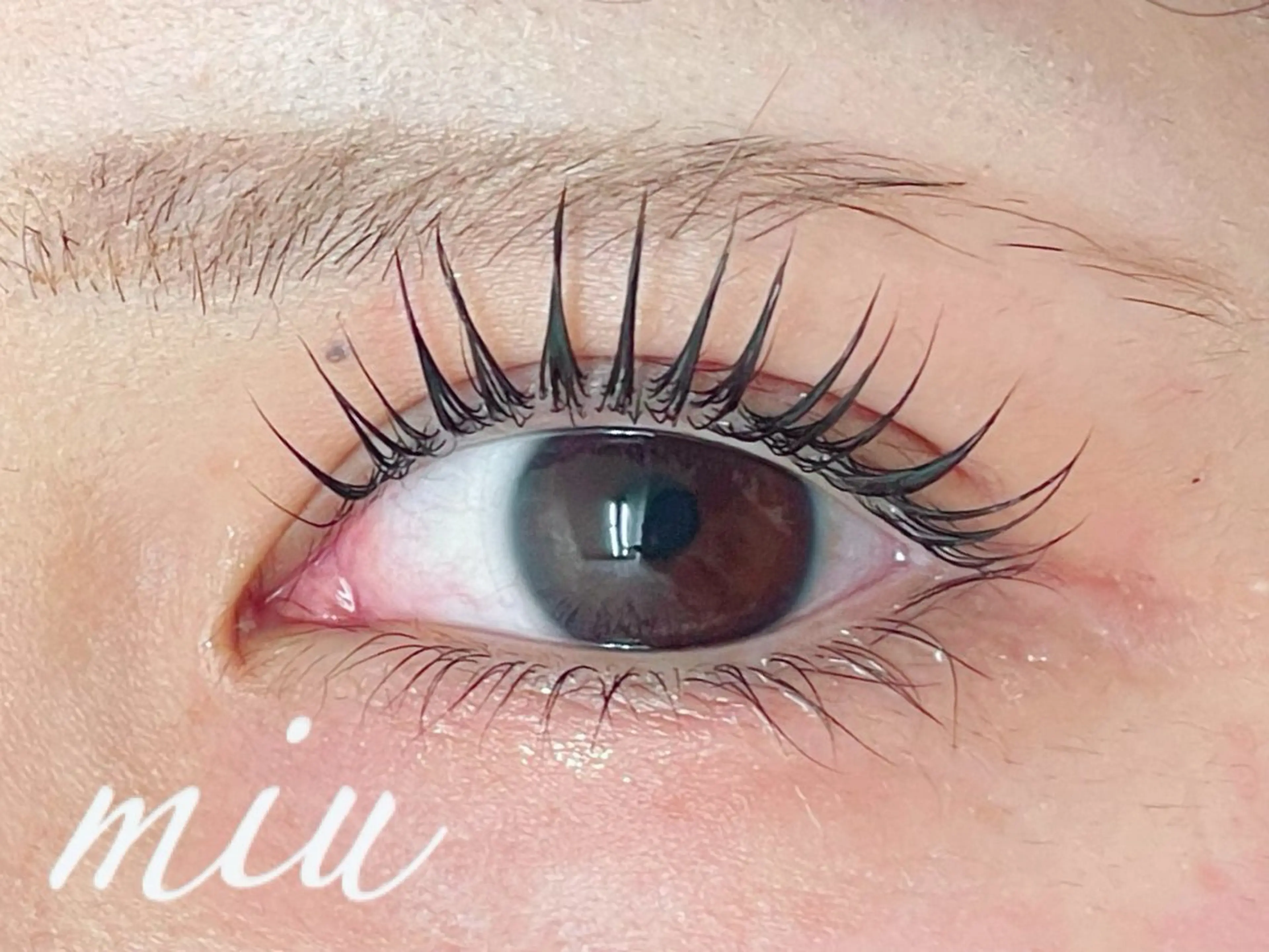 マツエク・マツパ miunail Minamiのマツエク・マツパデザイン