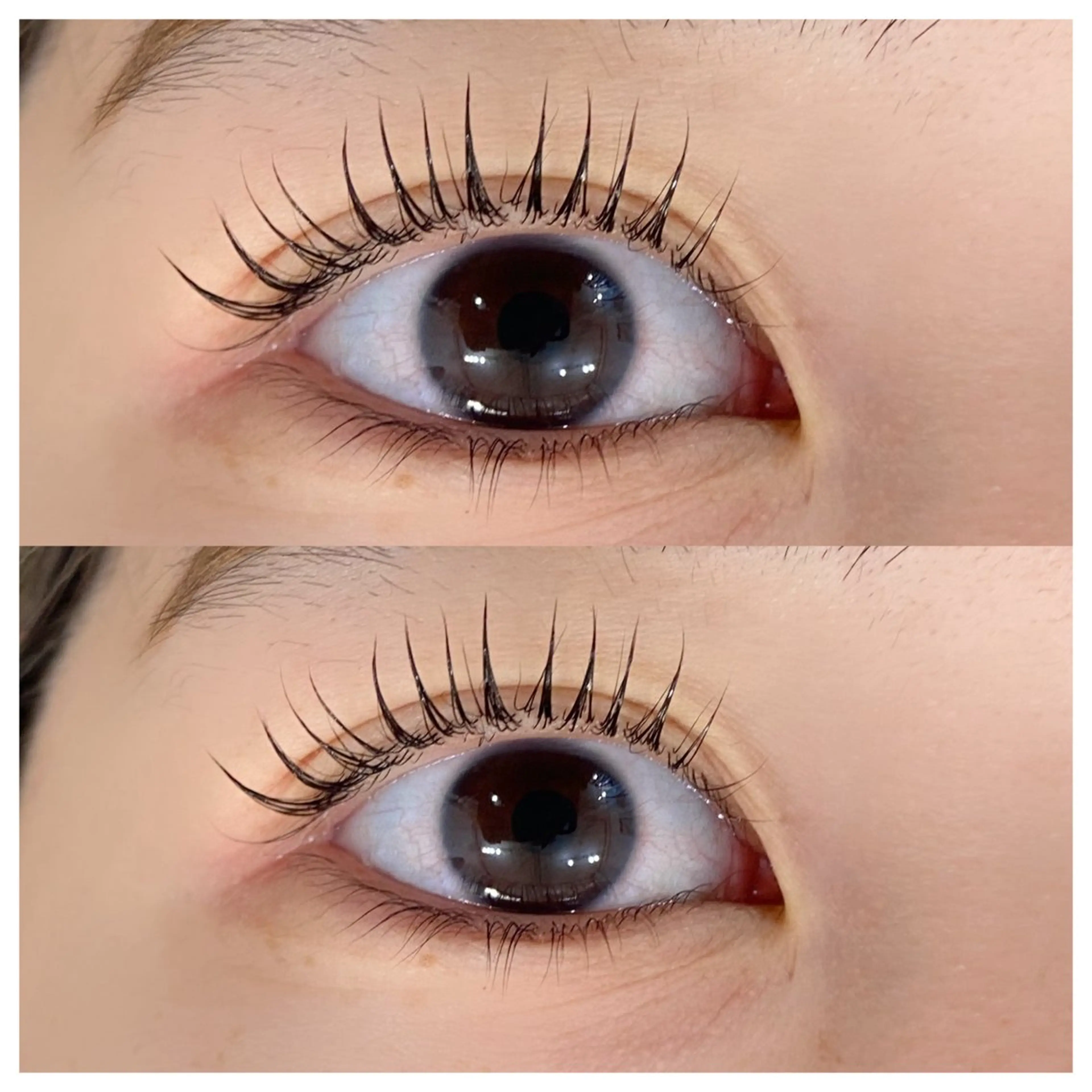 🌙まつ毛パーマorパリジェンヌ(上のみ)所要時間1時間15分程度の写真