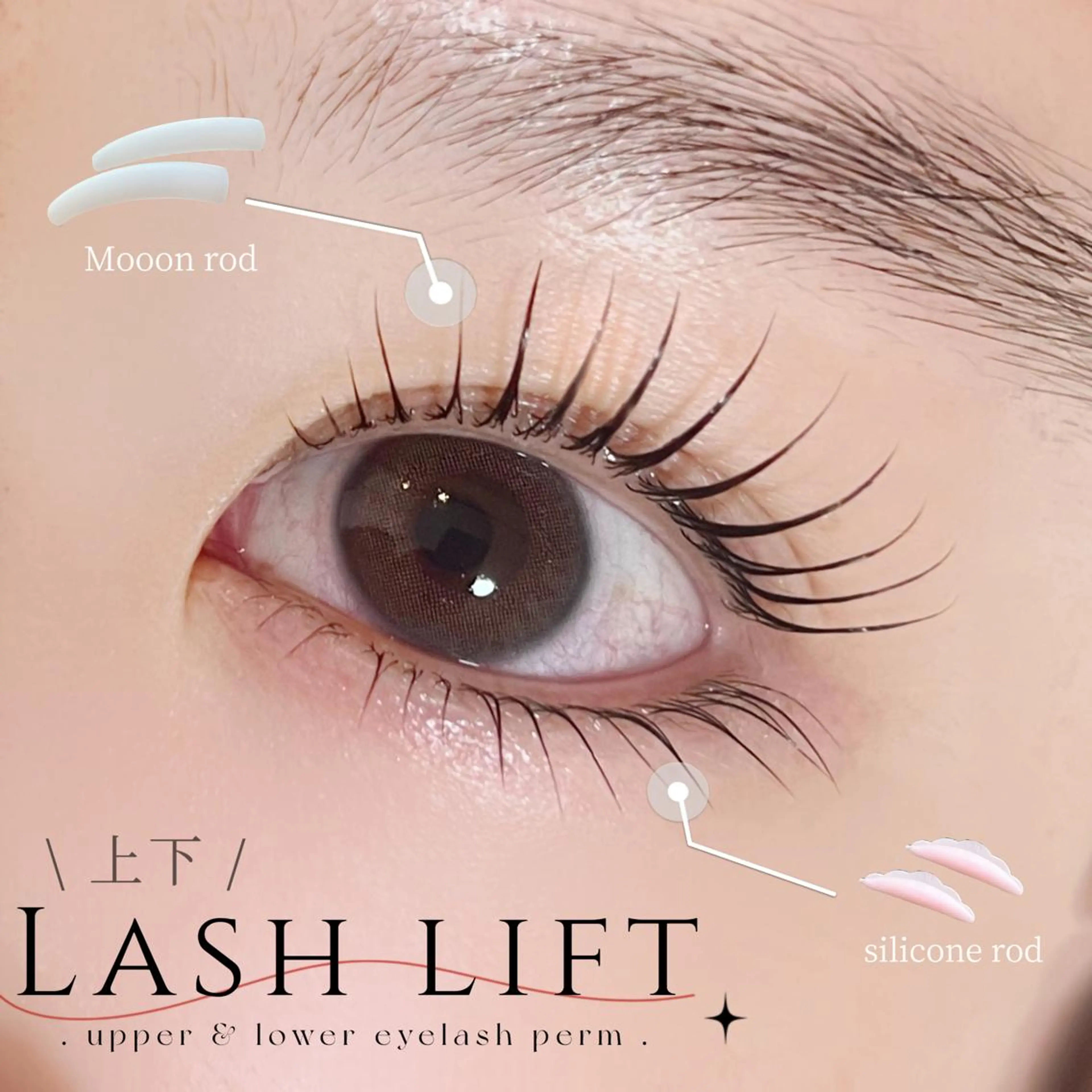 🎀【ラッシュリフト上下】🎀＋美容液&コーティング仕上げ🎀の写真