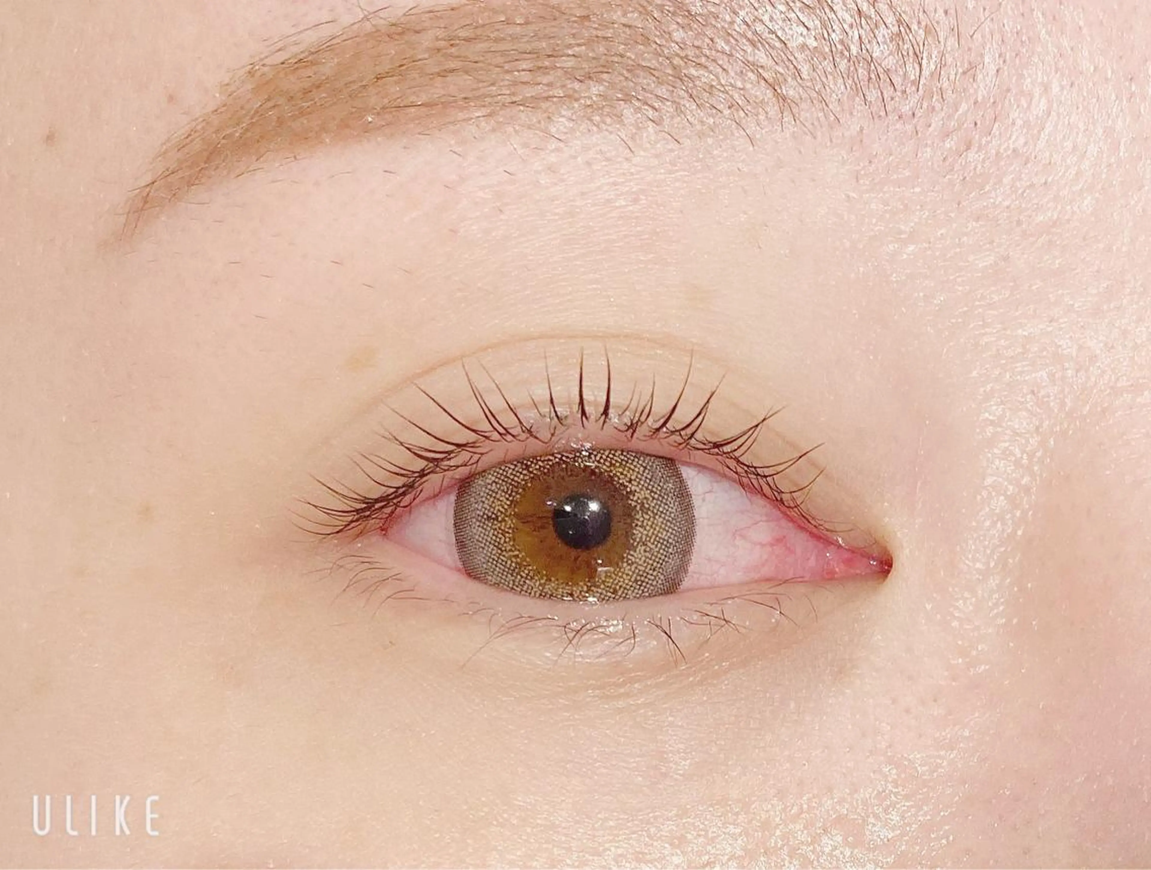 マツエク・マツパ パリジェンヌラッシュリフト 𓊆ᶠᵉᵉʸ𓊇 ᶜᴴᴵᴴᴬᴿᵁのマツエク・マツパデザイン