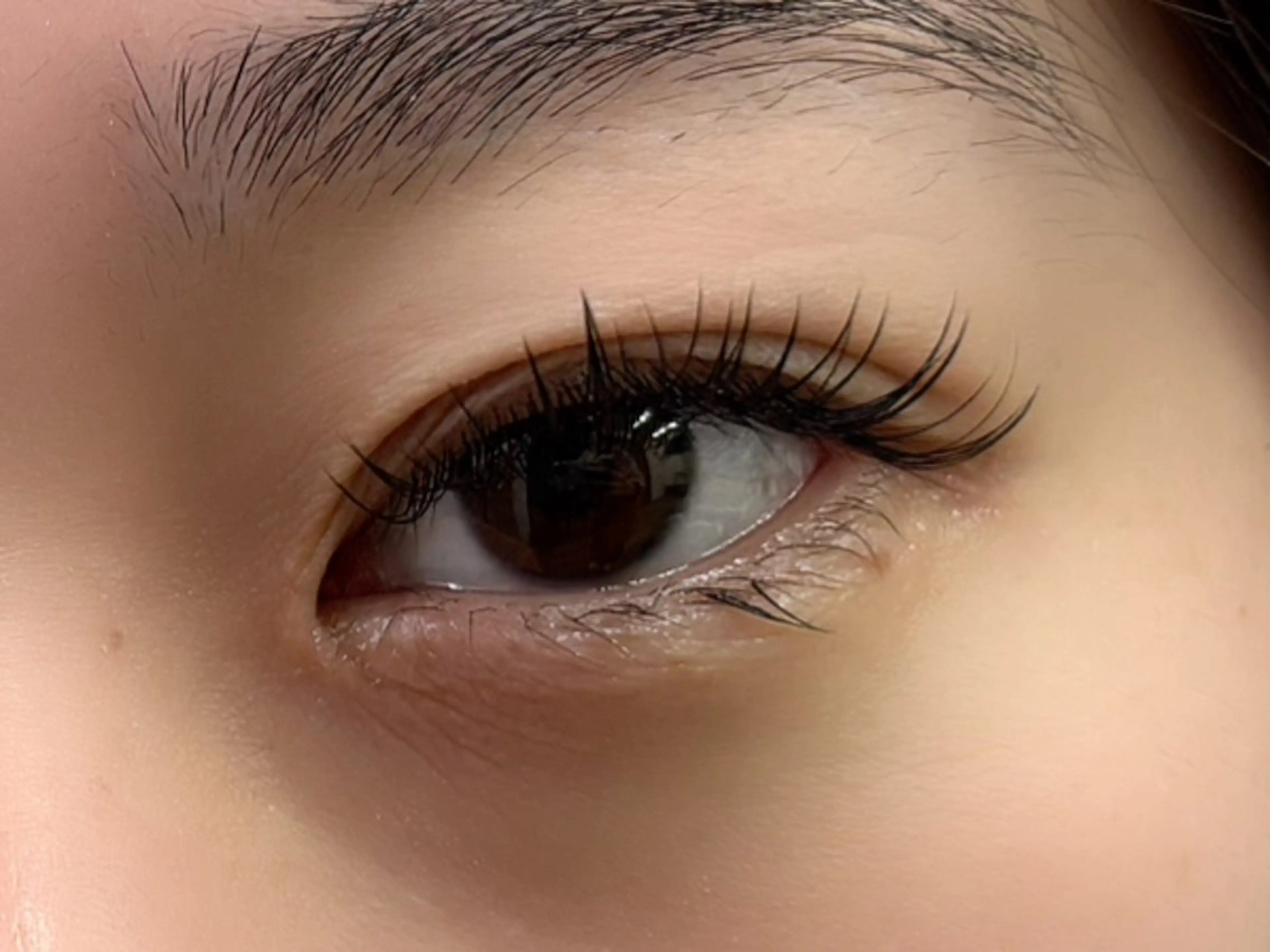 ใใใจใฏใปใใใ ใใใจใฏ ๐๐๐๐๐ ใใใจใฏใขใใซๅ้ไธญใฎใใใจใฏใปใใใใใถใคใณ