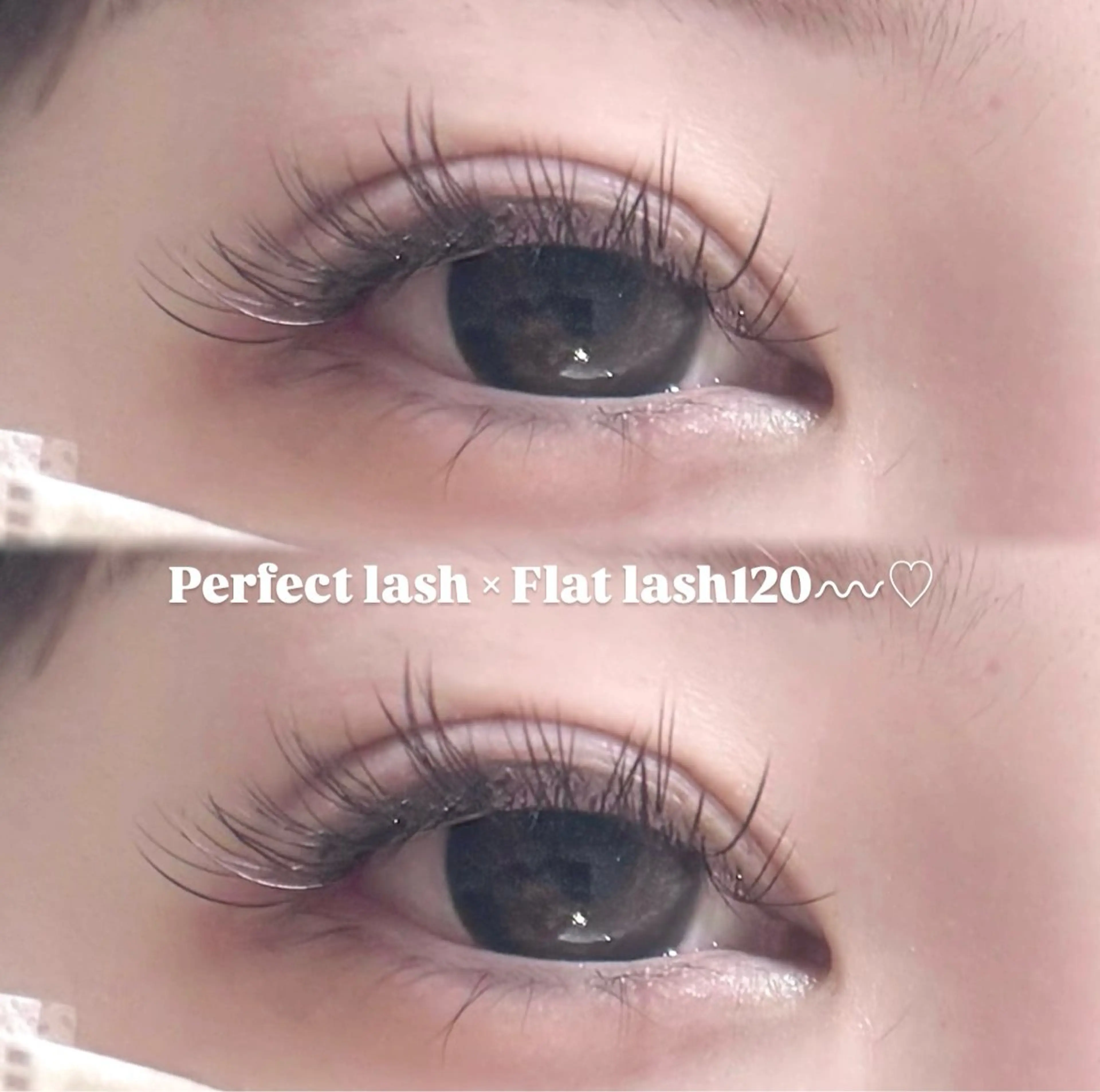 マツエク・マツパ 目尻長め オヤユビヒメ 新田辺店の眉毛・アイブロウイメージ