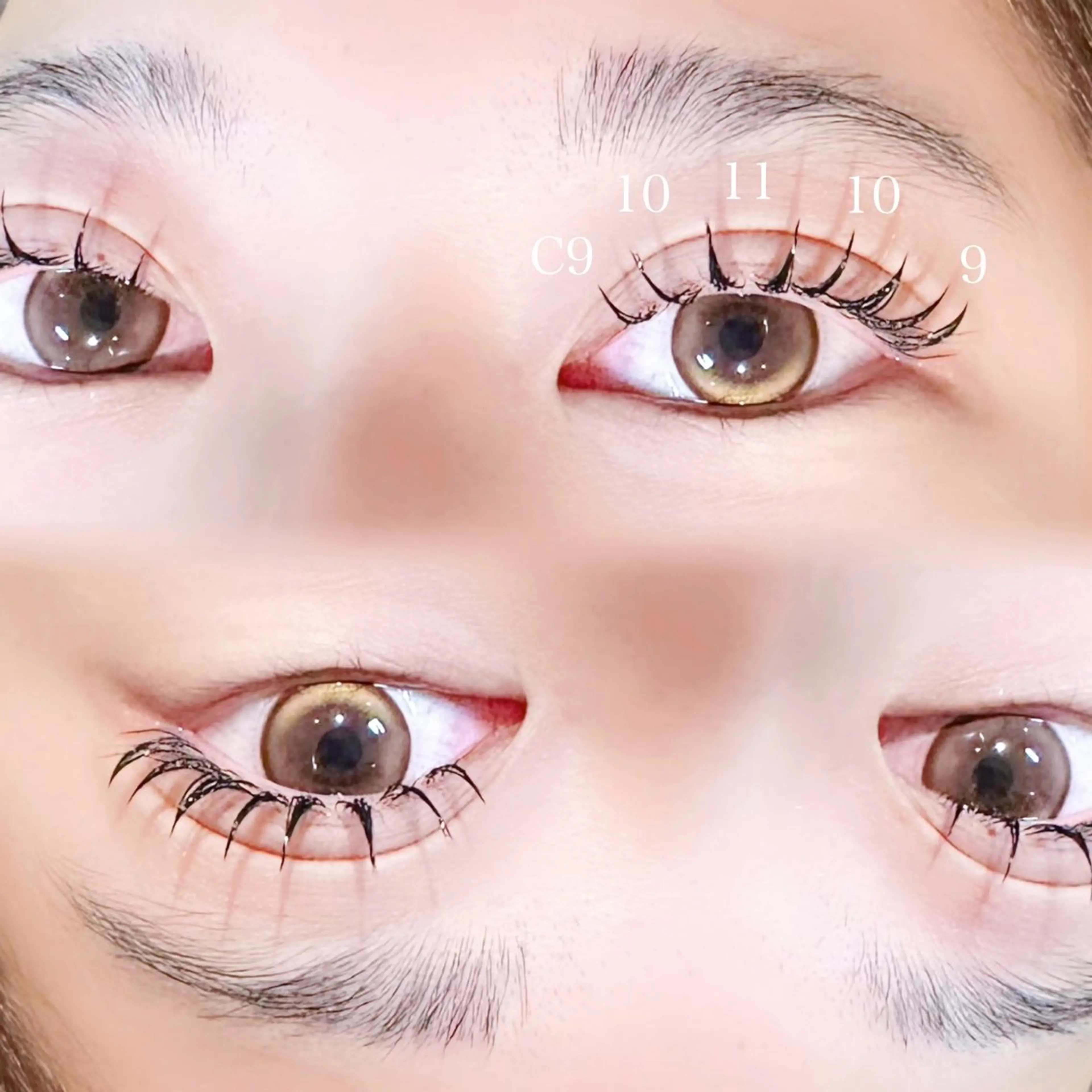 マツエク・マツパ Cカール キュート フラットラッシュ CLALA Naoの眉毛・アイブロウイメージ