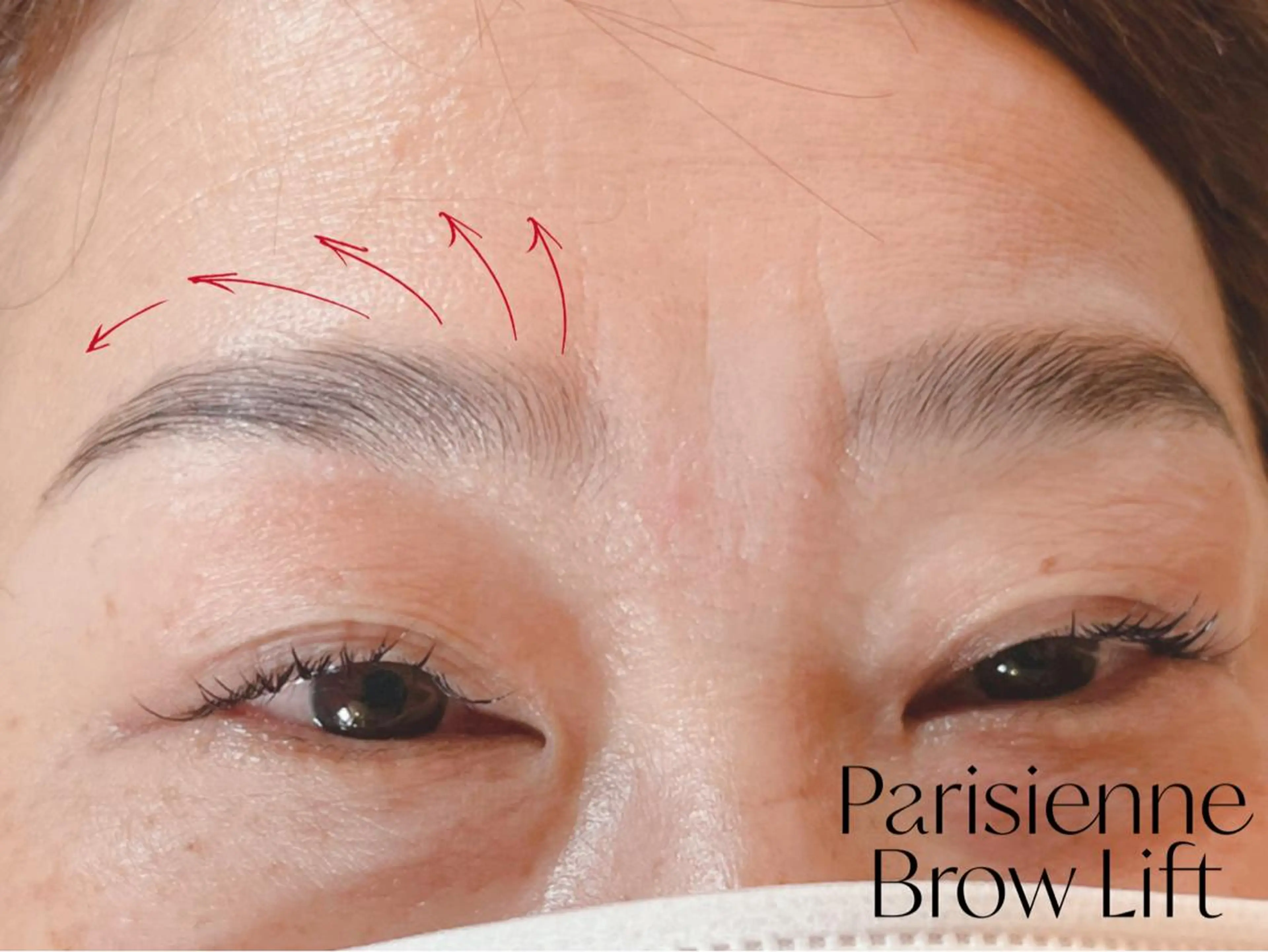 アイブロウ chouette ...シュエットのマツエク・マツパデザイン