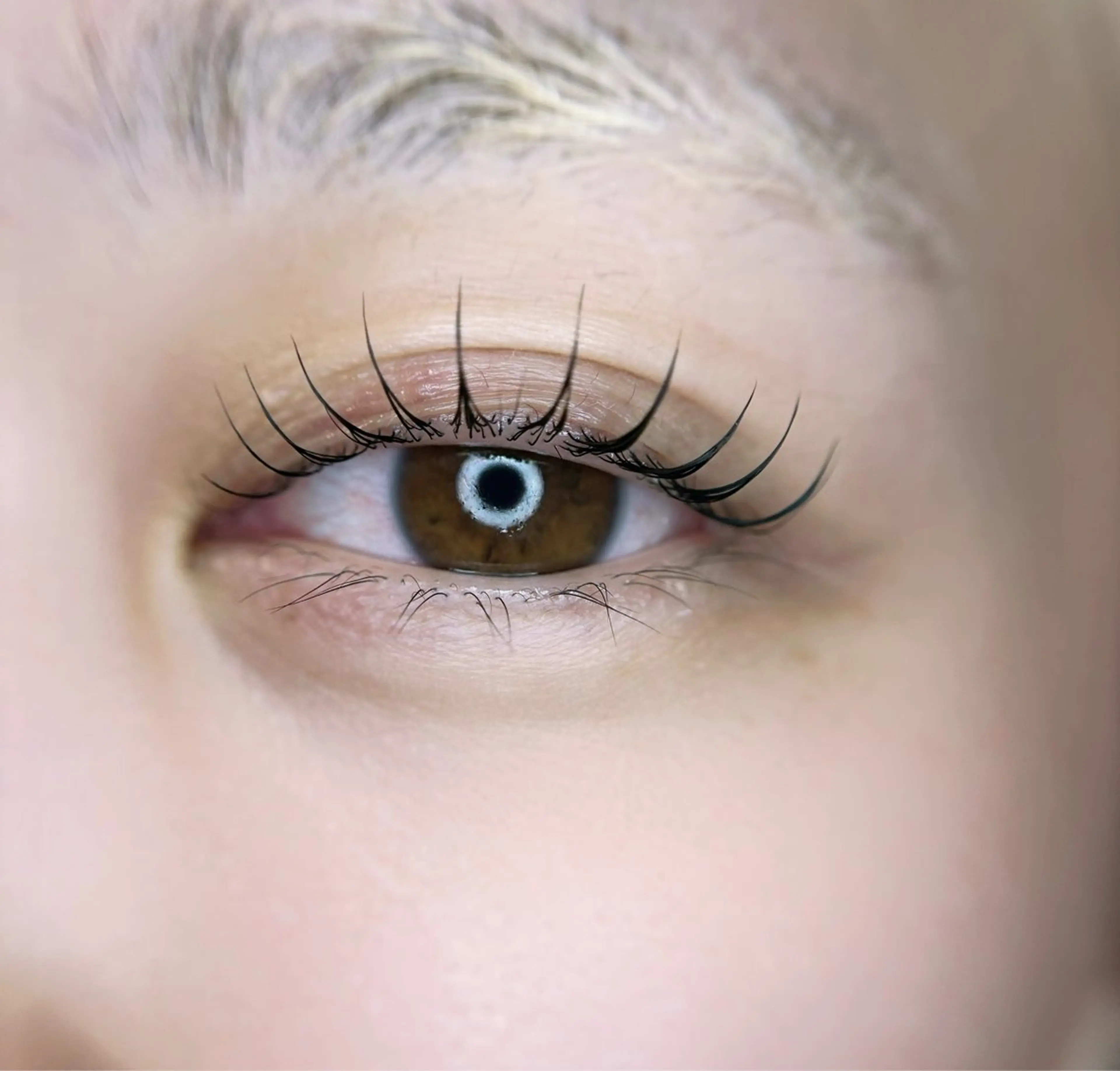 マツエク・マツパ マツパ eyelist. mizuki🐈‍⬛のマツエク・マツパデザイン