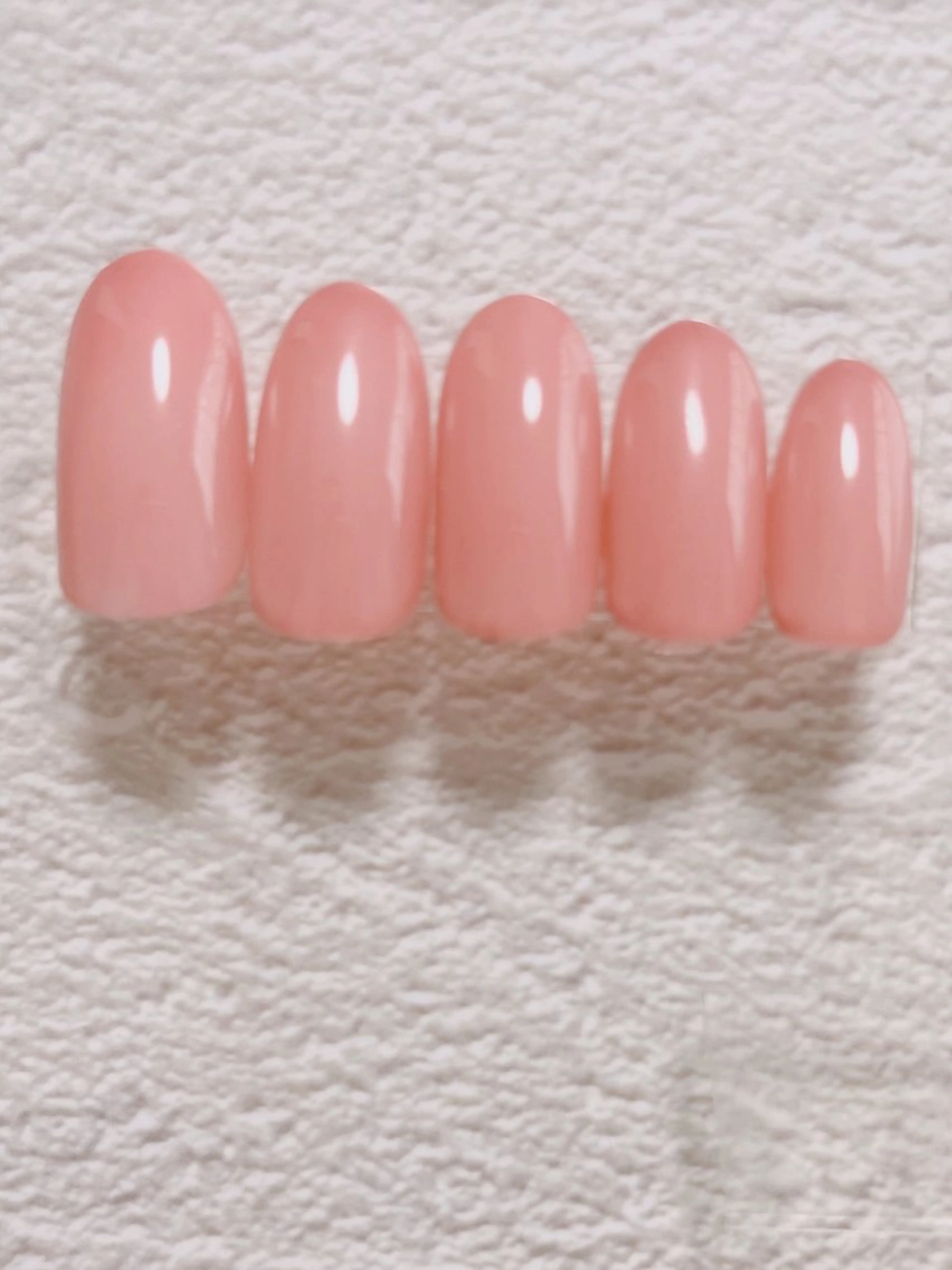 ワンカラー(オフなし)の写真