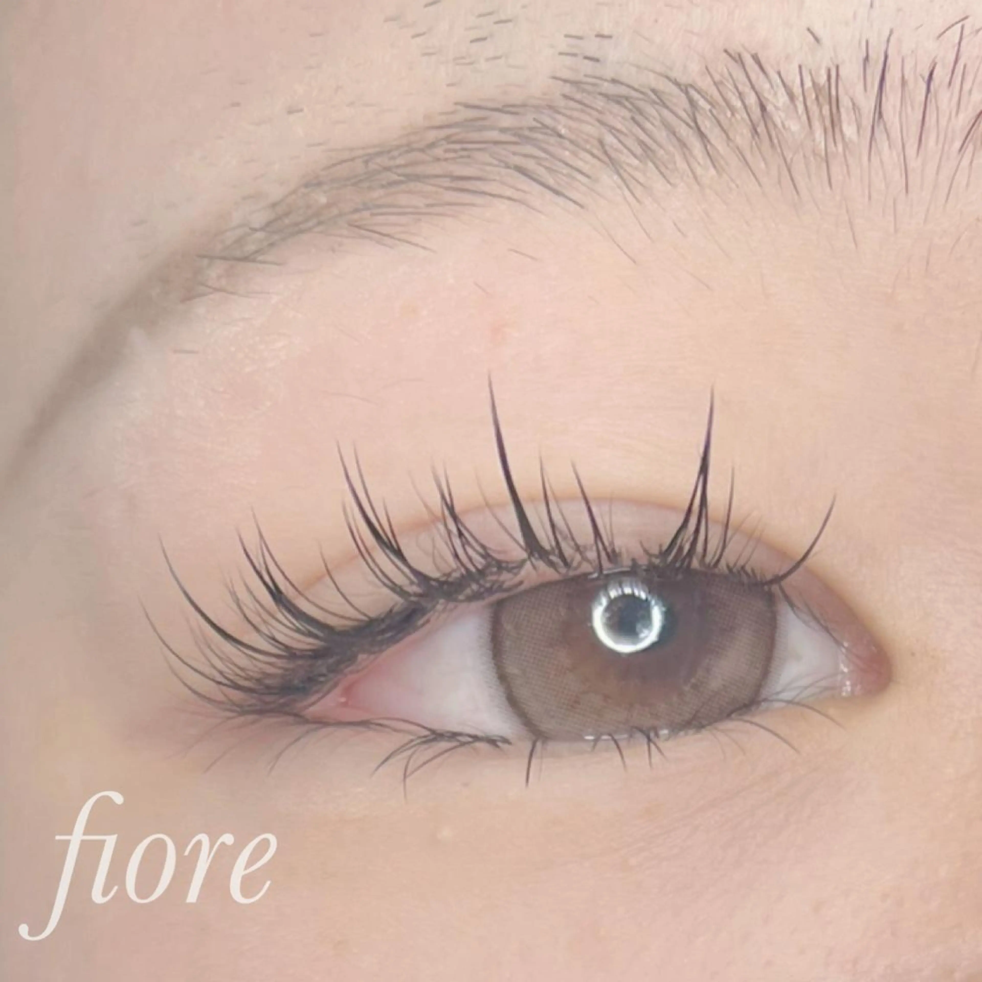 👩‍🎓《学割》フラットラッシュ120本(オフ込)の写真